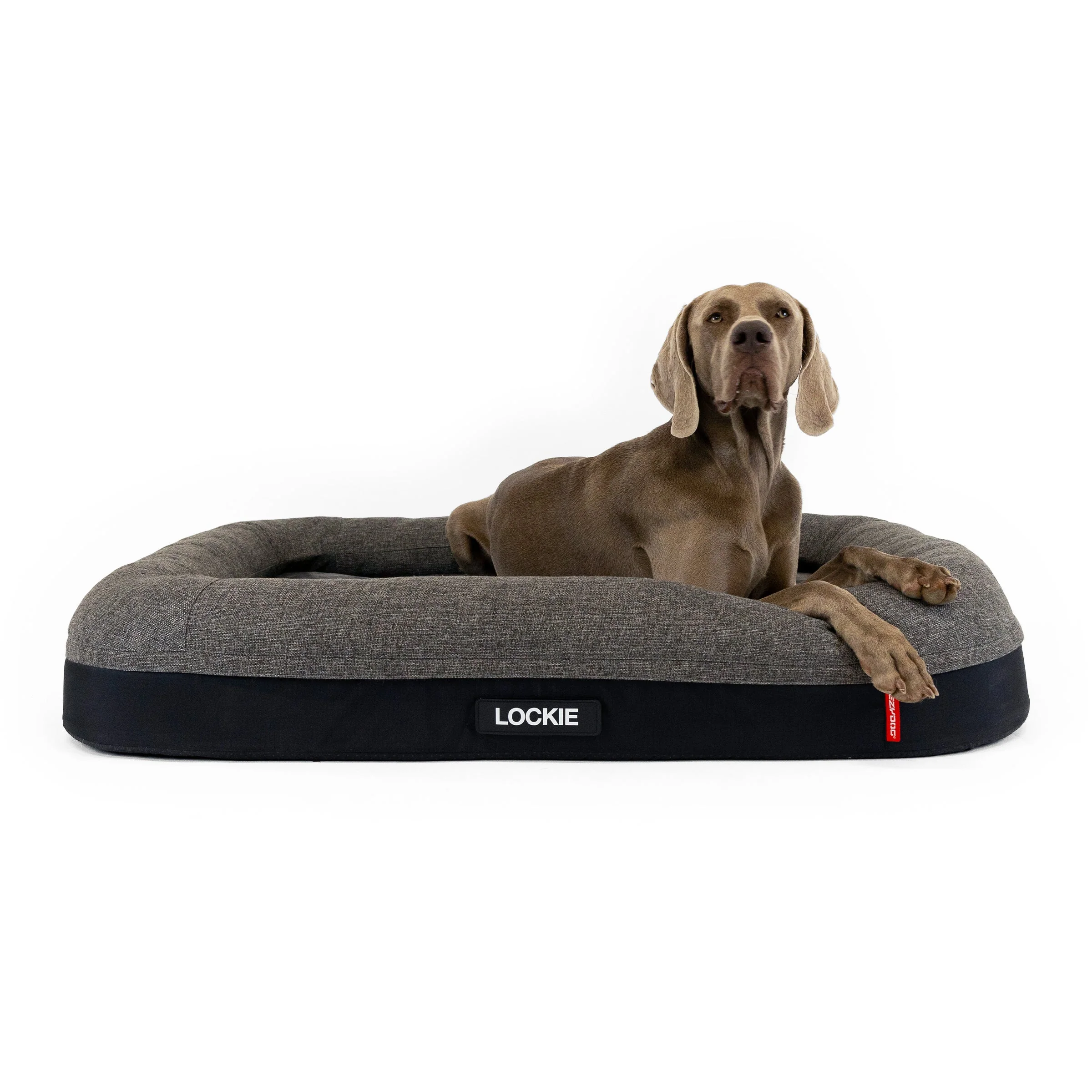 2 in 1 Ortho Calm Elite Dog Bed - Image 8