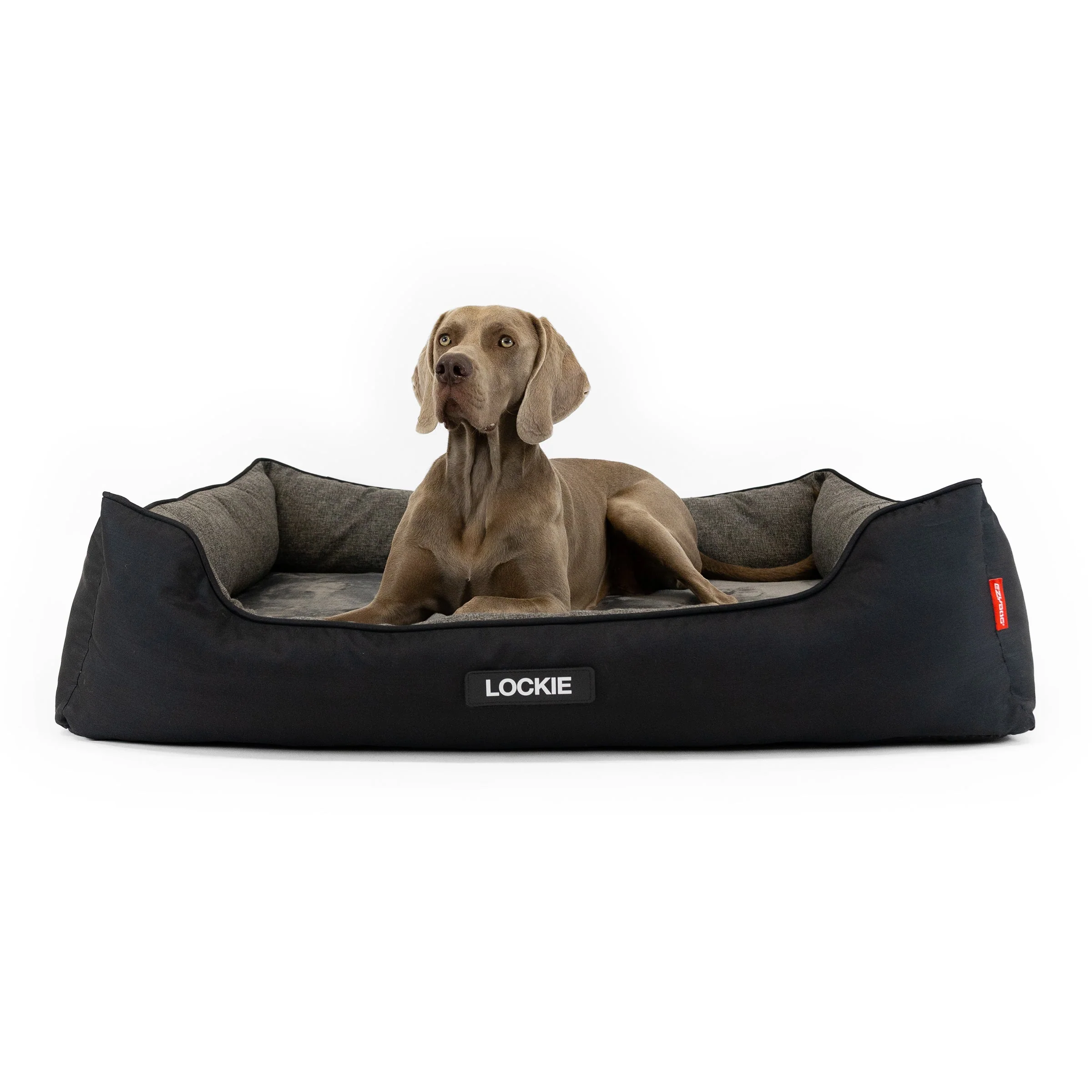 2 in 1 Ortho Smart Dog Bed - Image 8