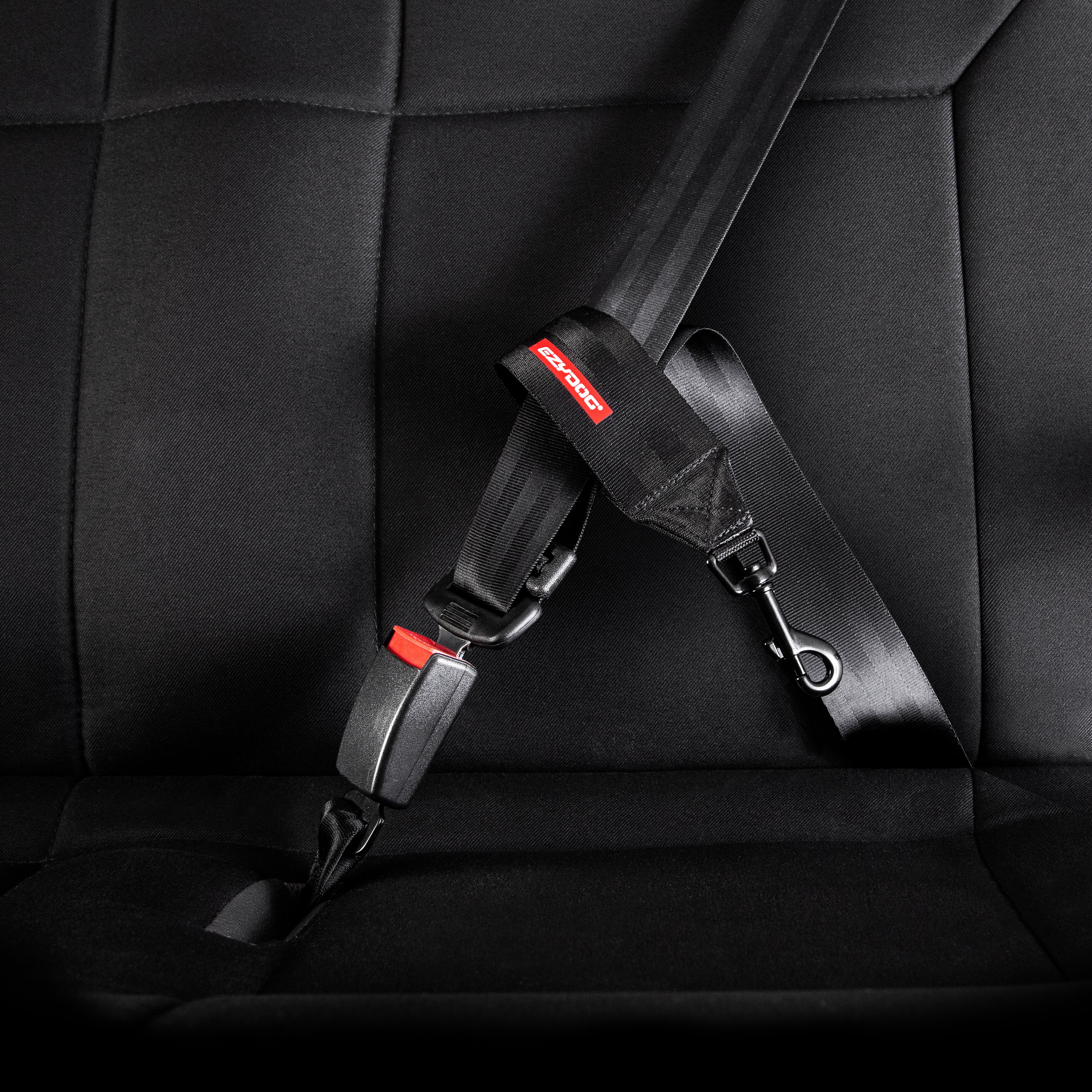 Car Restraint - Image 3
