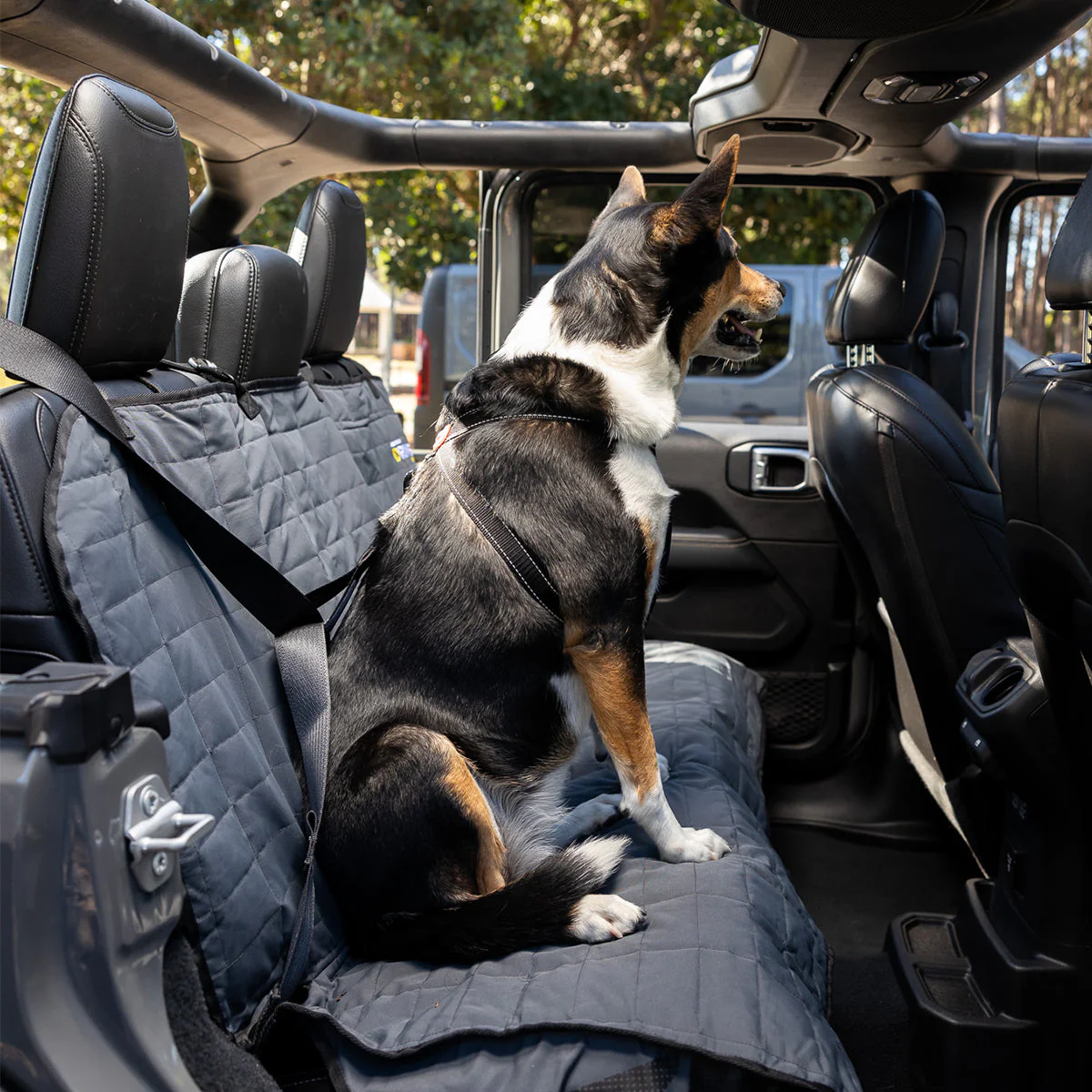 Car Restraint - Image 4