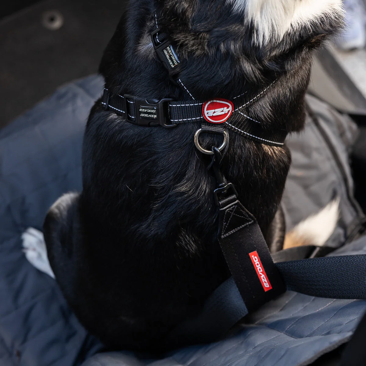 Car Restraint - Image 5
