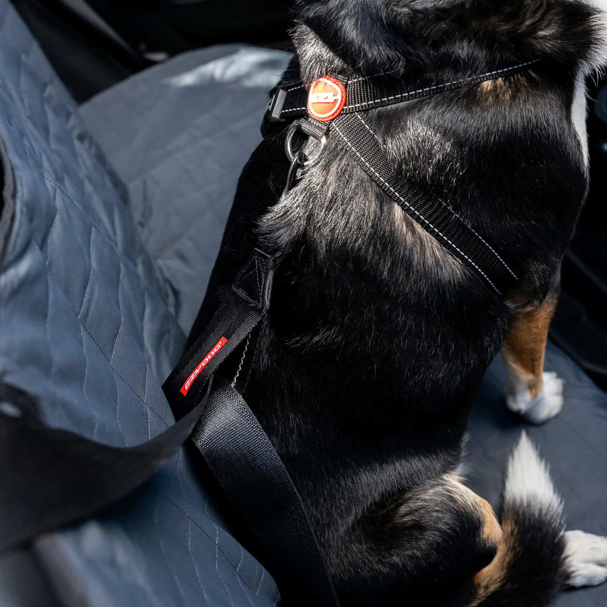 Car Restraint - Image 6