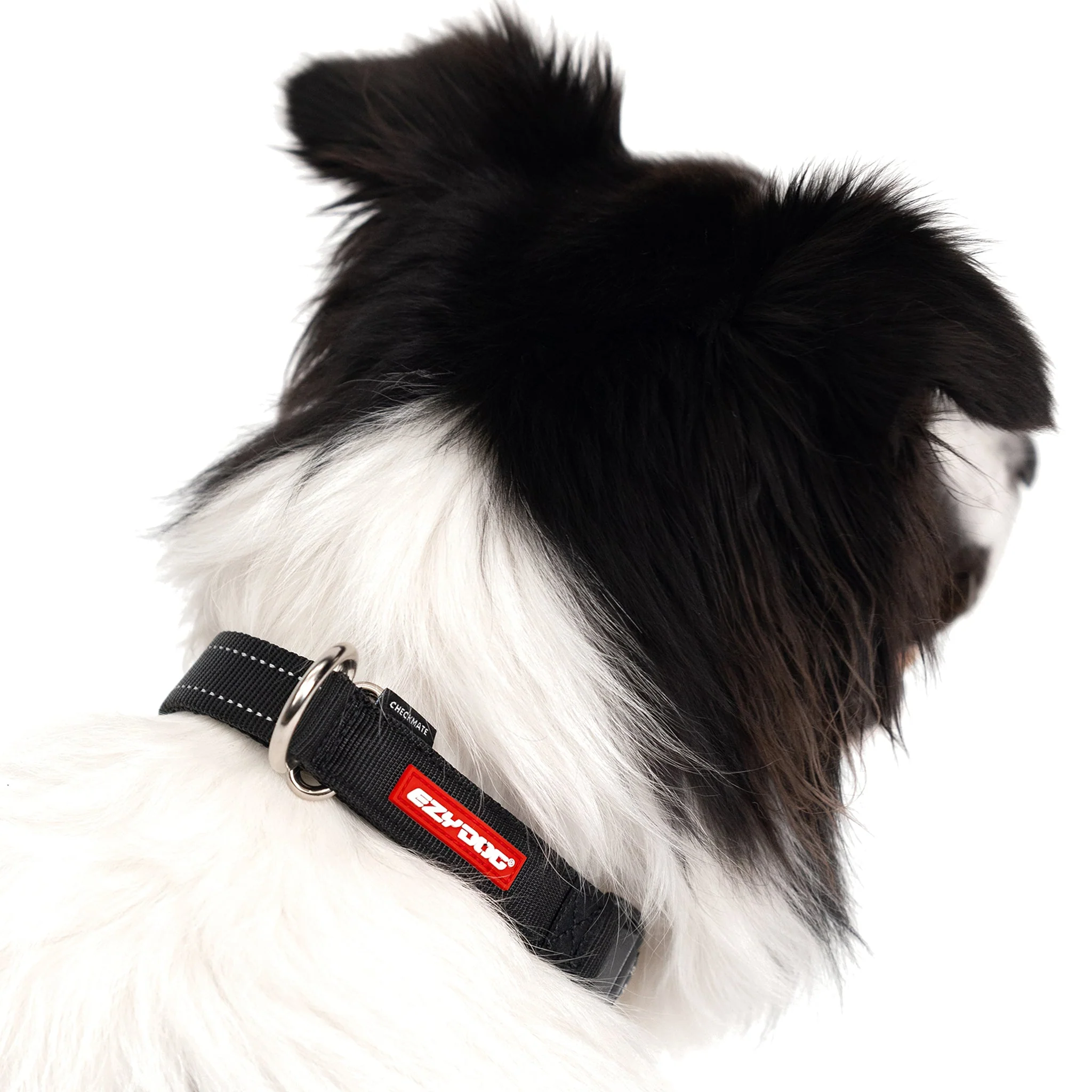 Checkmate Collar - Image 14