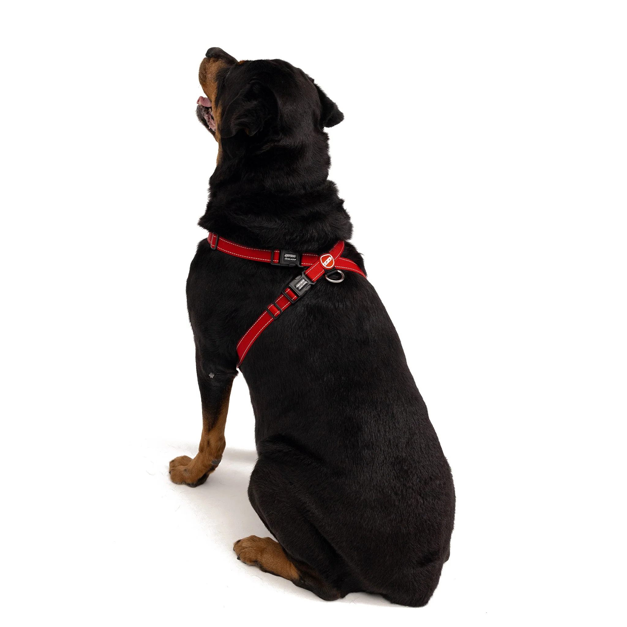 Chest Plate Harness - Image 17