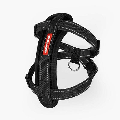 Chest Plate Harness - Image 23