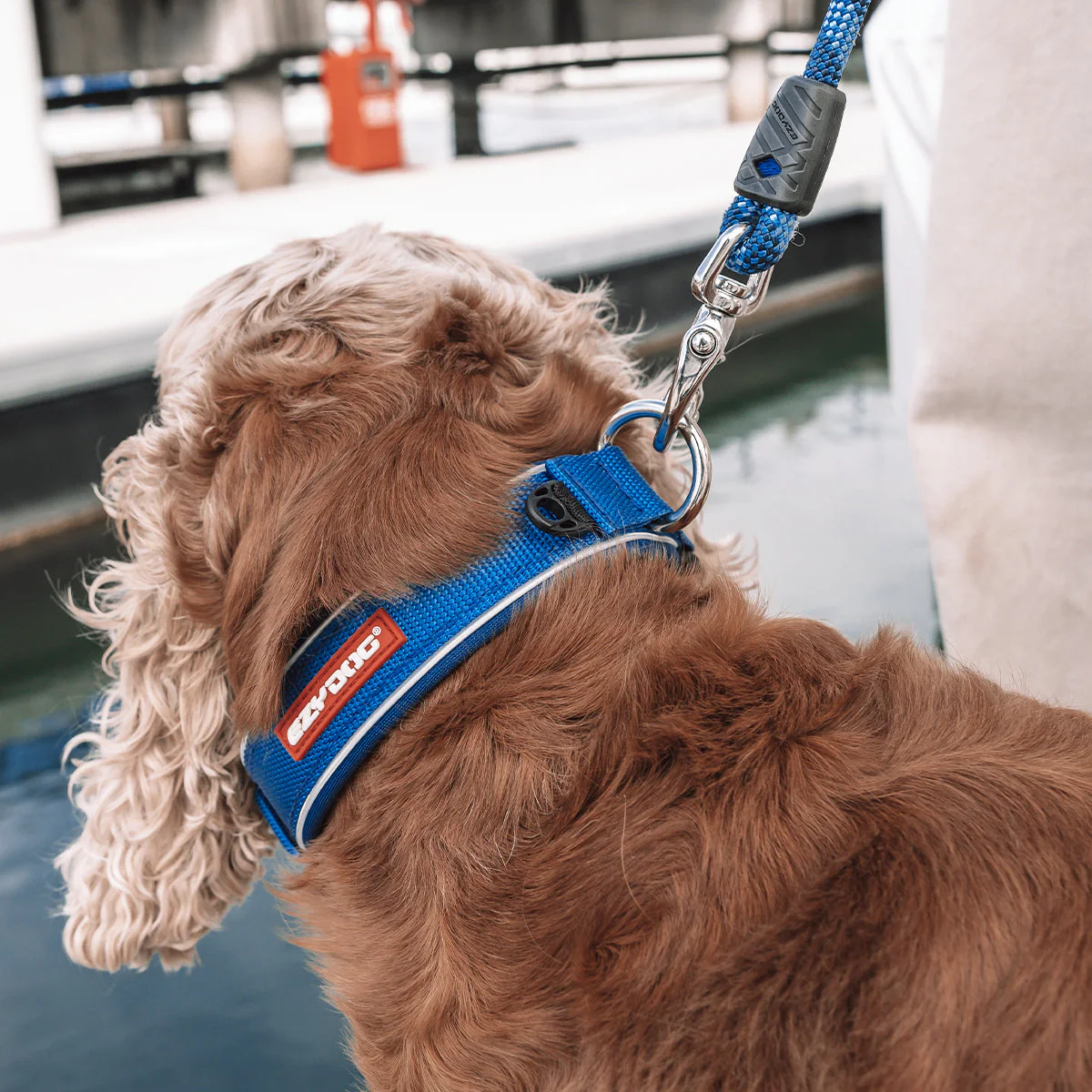Neo Classic Collar - Camo - Image 9