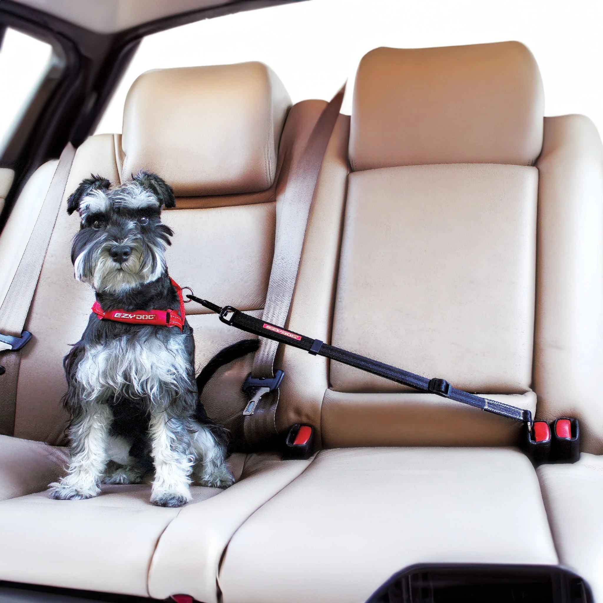 Click Dog Seat Belt - Image 3