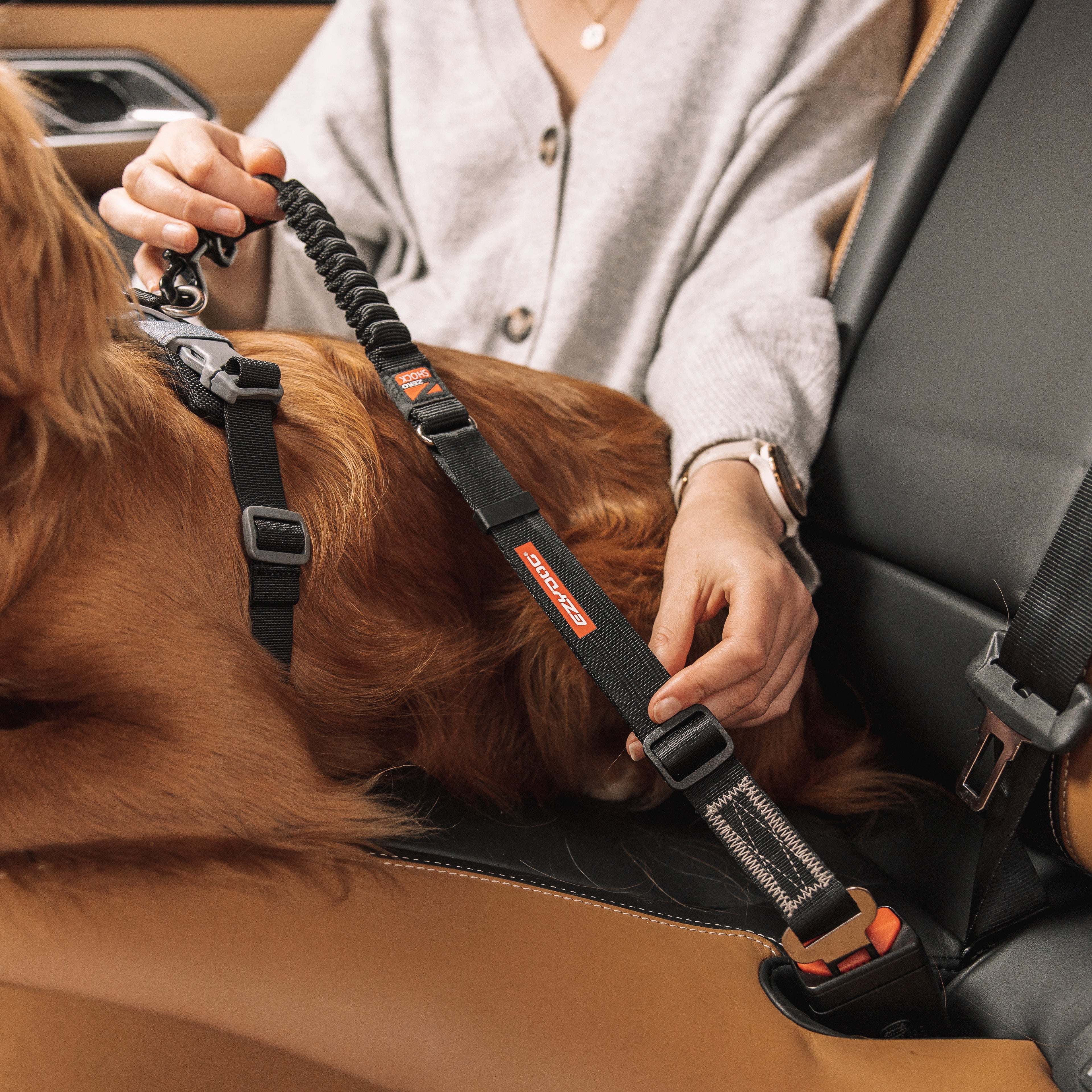 Click Dog Seat Belt Attachment - Zero Shock - Image 3