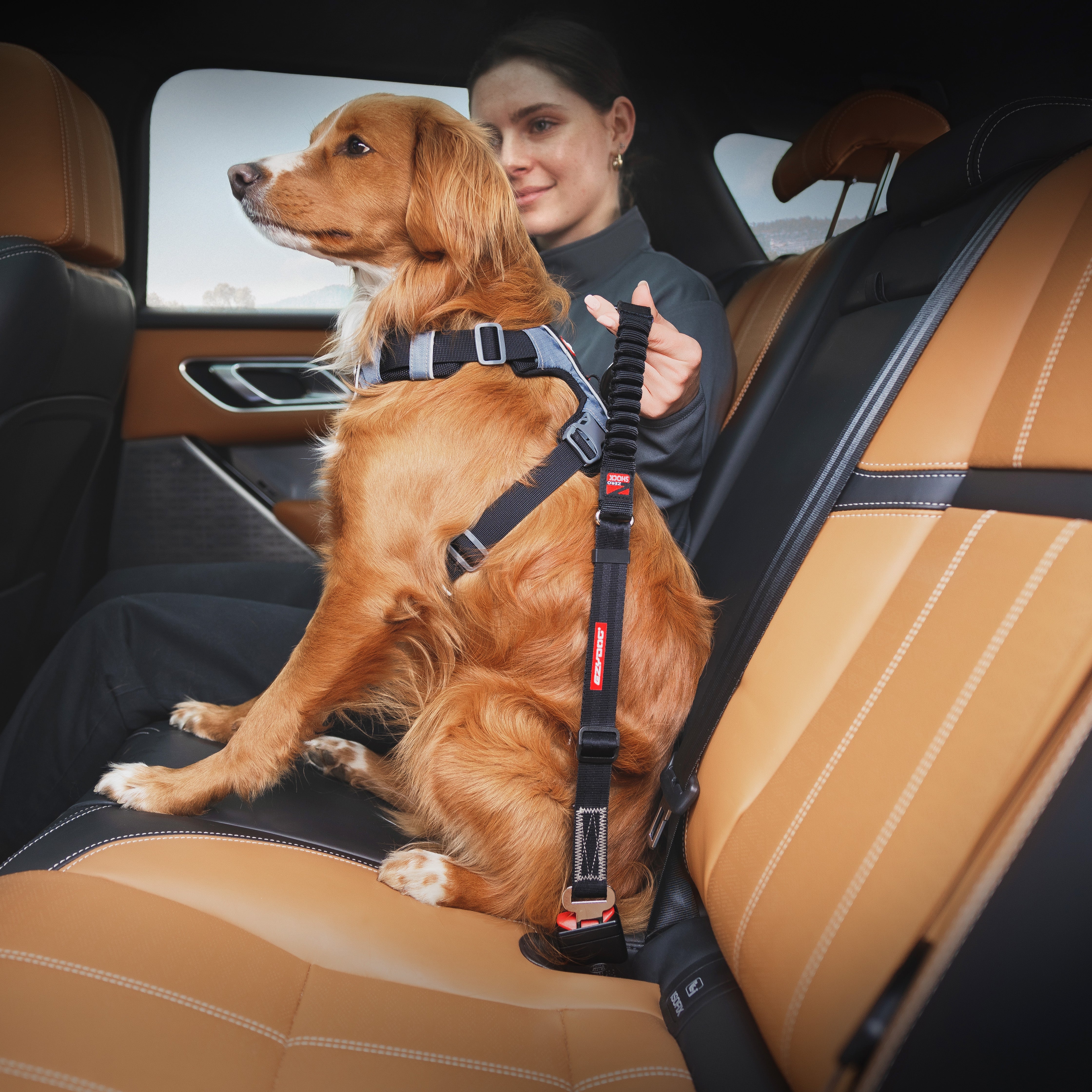 Click Dog Seat Belt Attachment - Zero Shock - Image 5