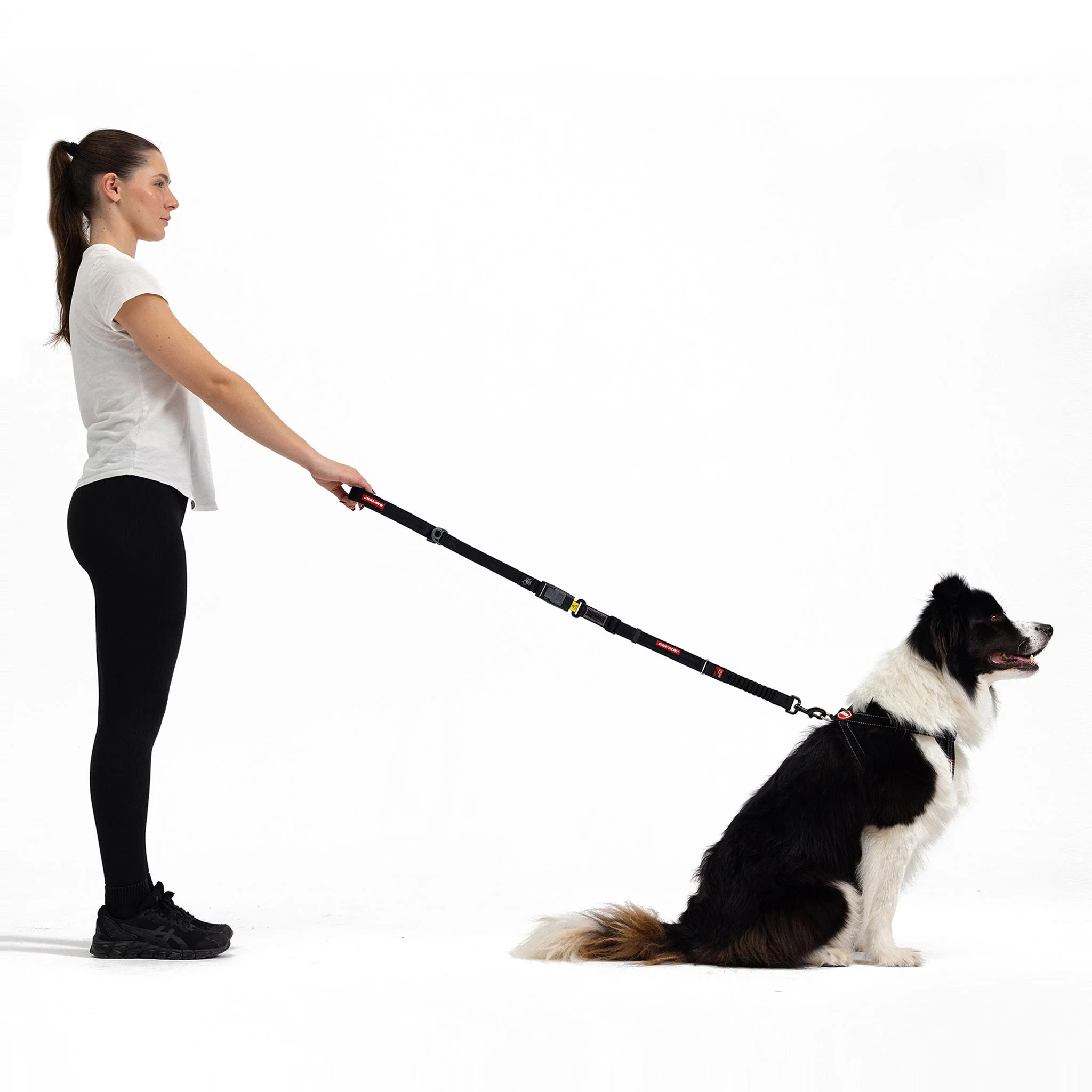 Drive Click Leash - Image 6