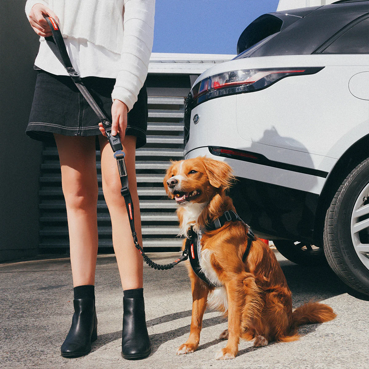 Drive Click Leash - Image 8