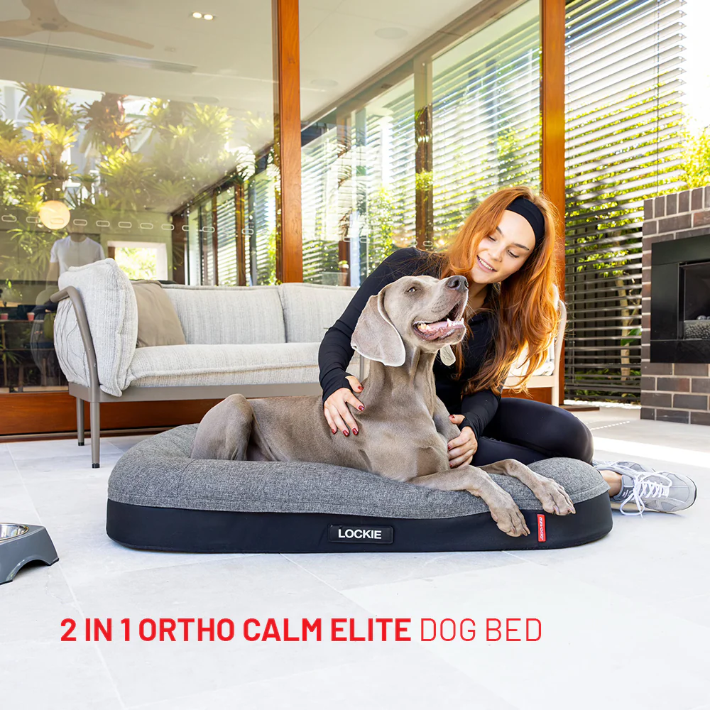 Cozy Comfort Bundle - Image 10