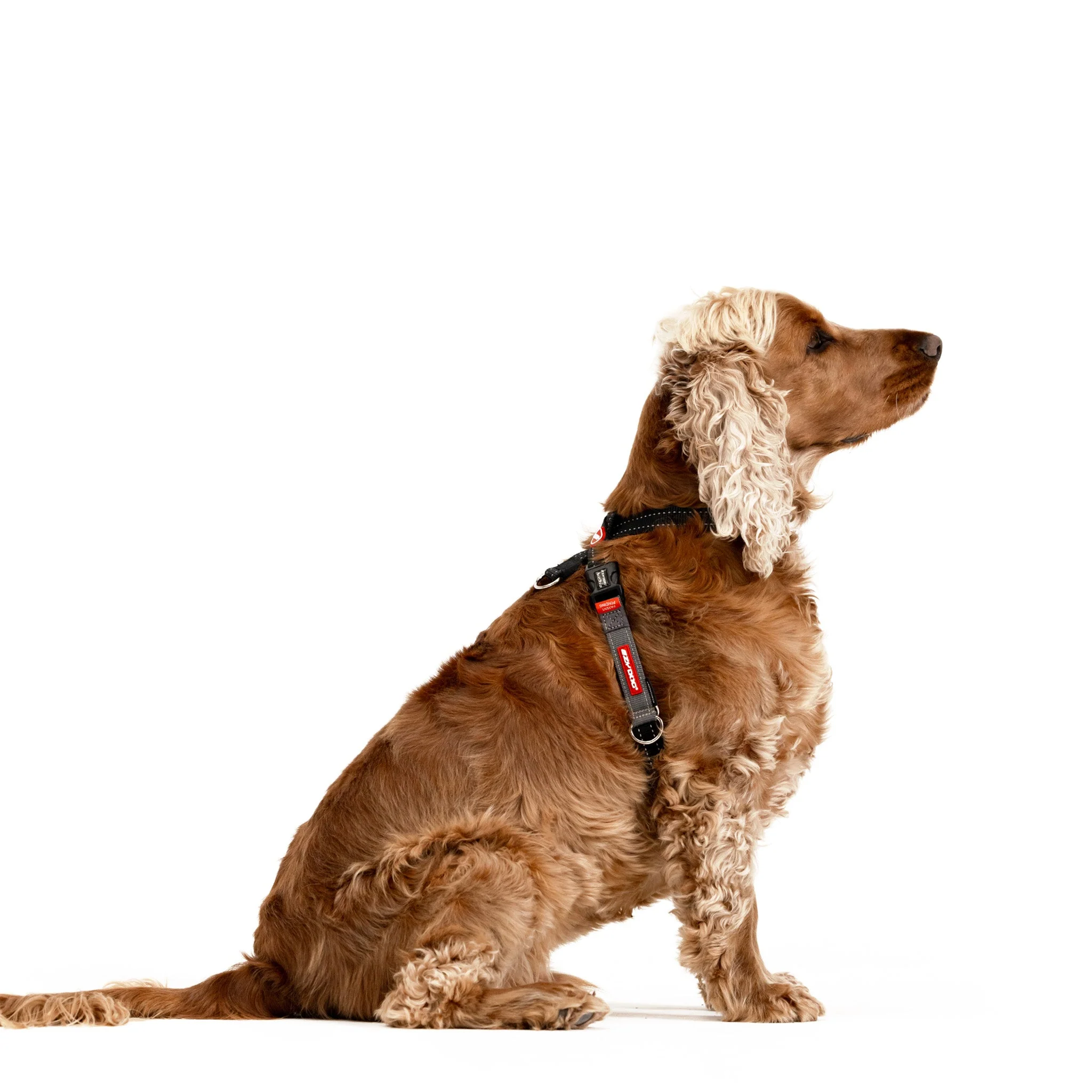 Crosscheck Harness - Image 12