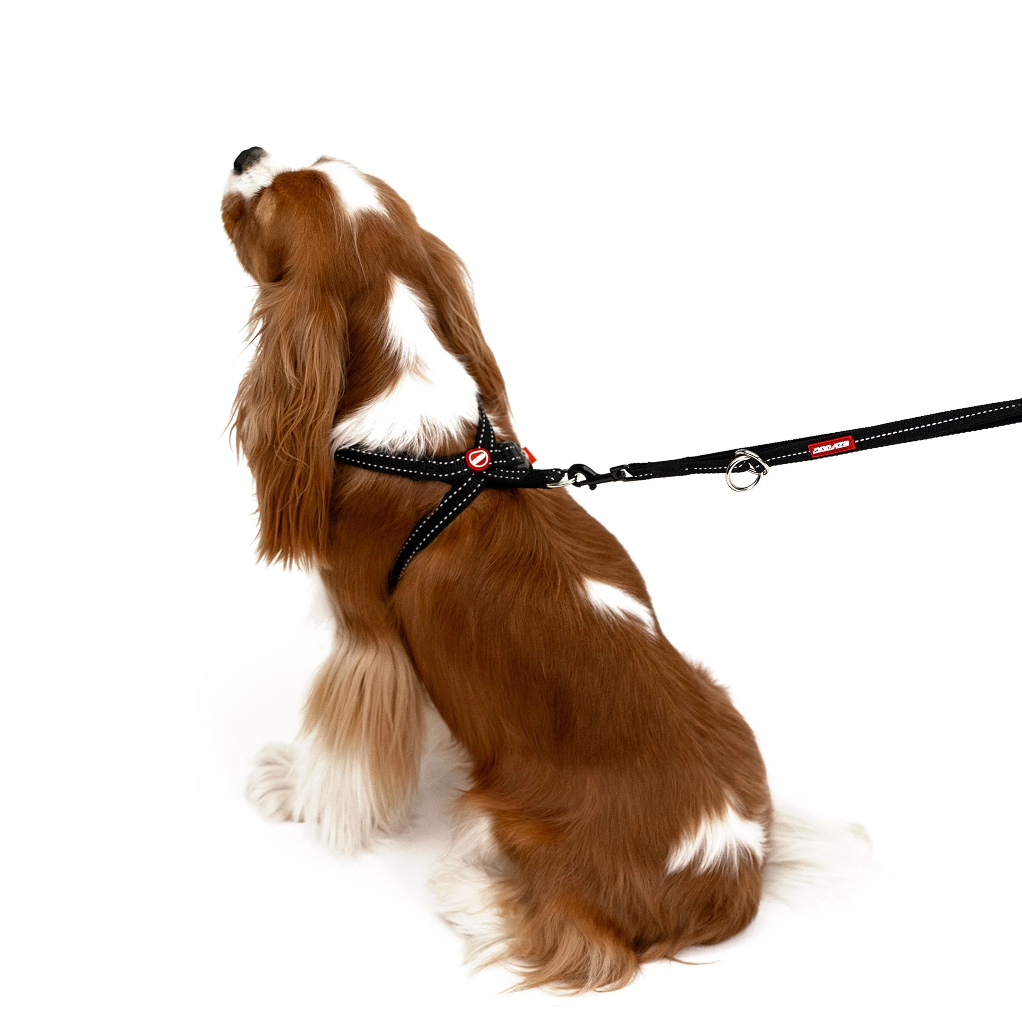 Crosscheck Harness - Image 13
