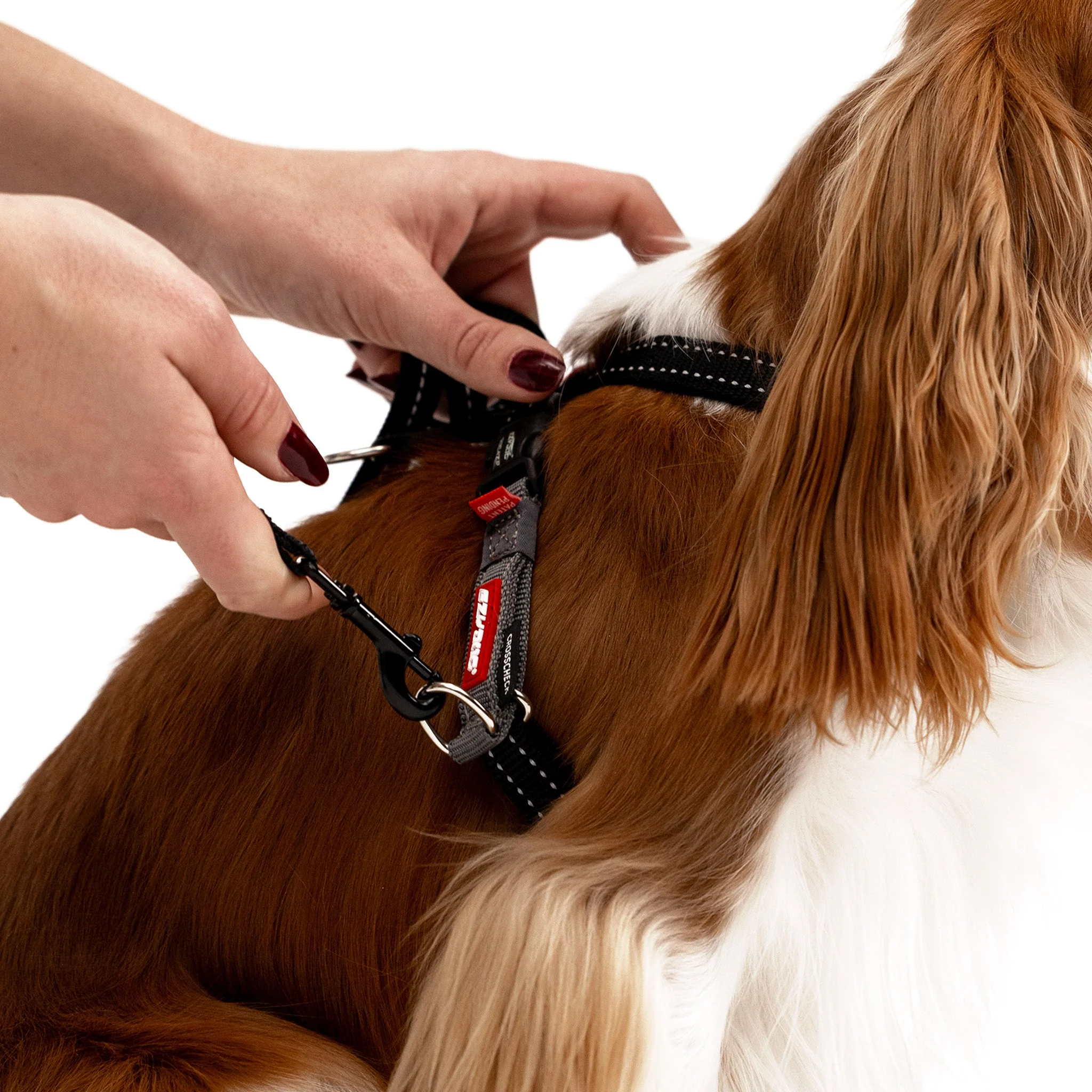 Crosscheck Harness - Image 14
