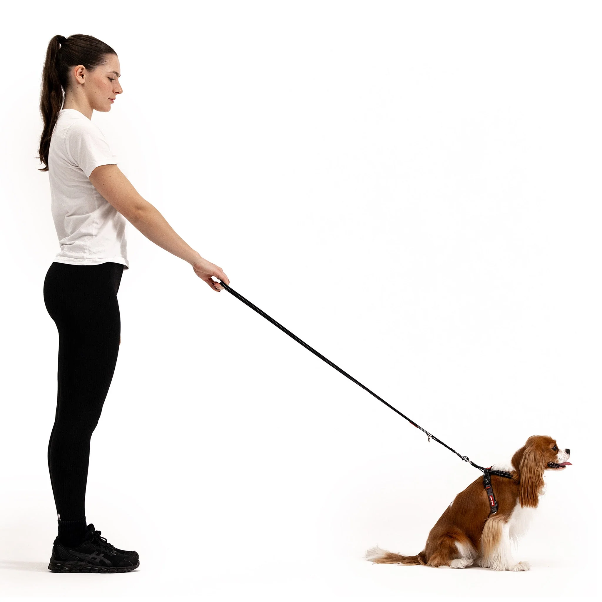 Crosscheck Harness - Image 15