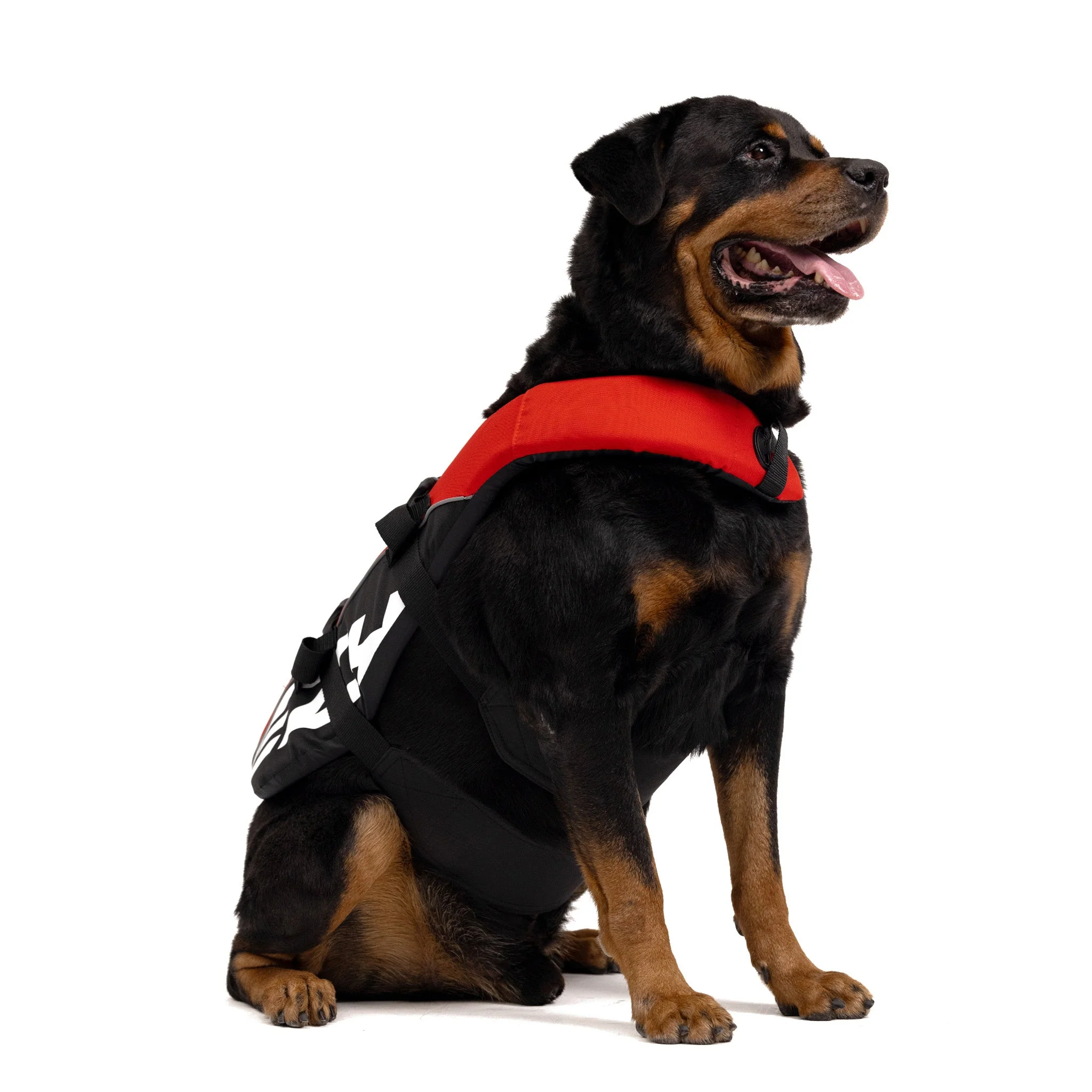 DFD Standard Dog Life Jacket - Image 4