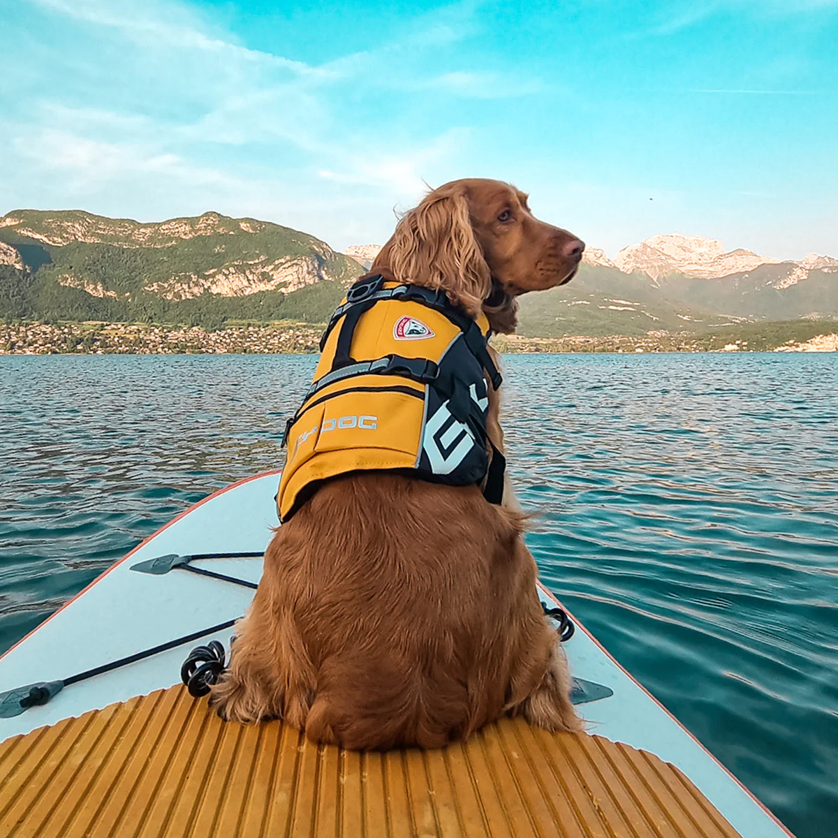 DFD Standard Dog Life Jacket - Image 7