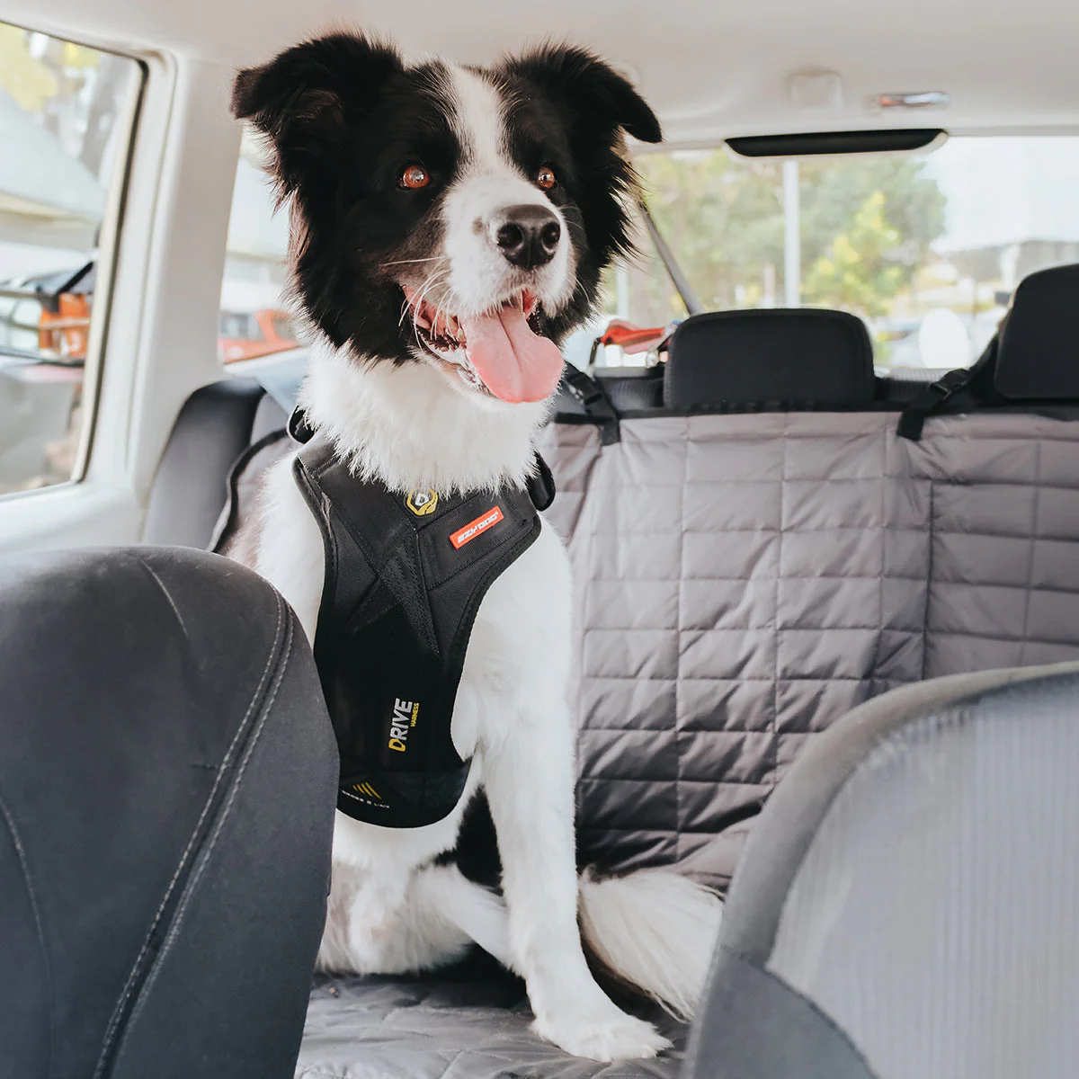 Drive Dog Car Harness - Image 11