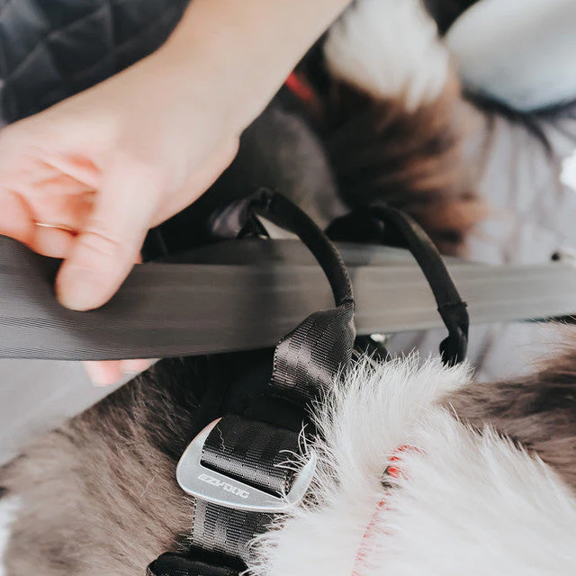Drive Dog Car Harness - Image 4
