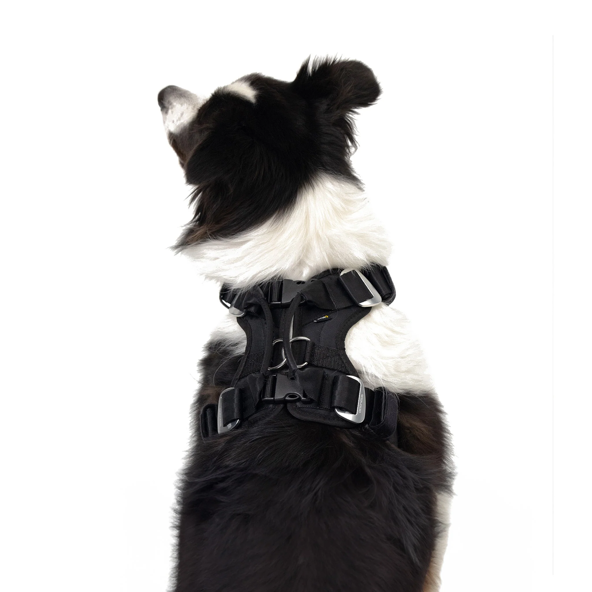 Drive Dog Car Harness - Image 7