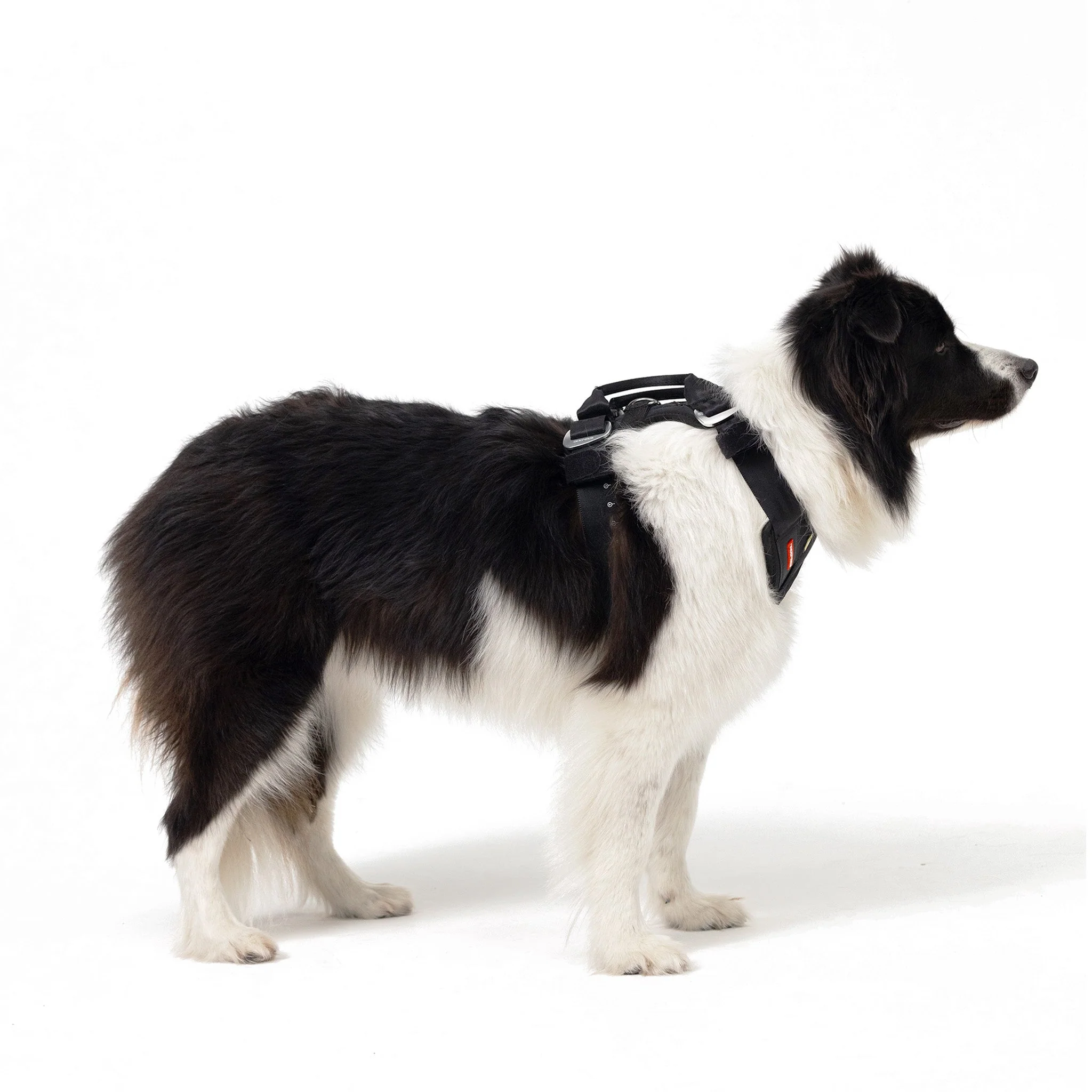 Drive Dog Car Harness - Image 8