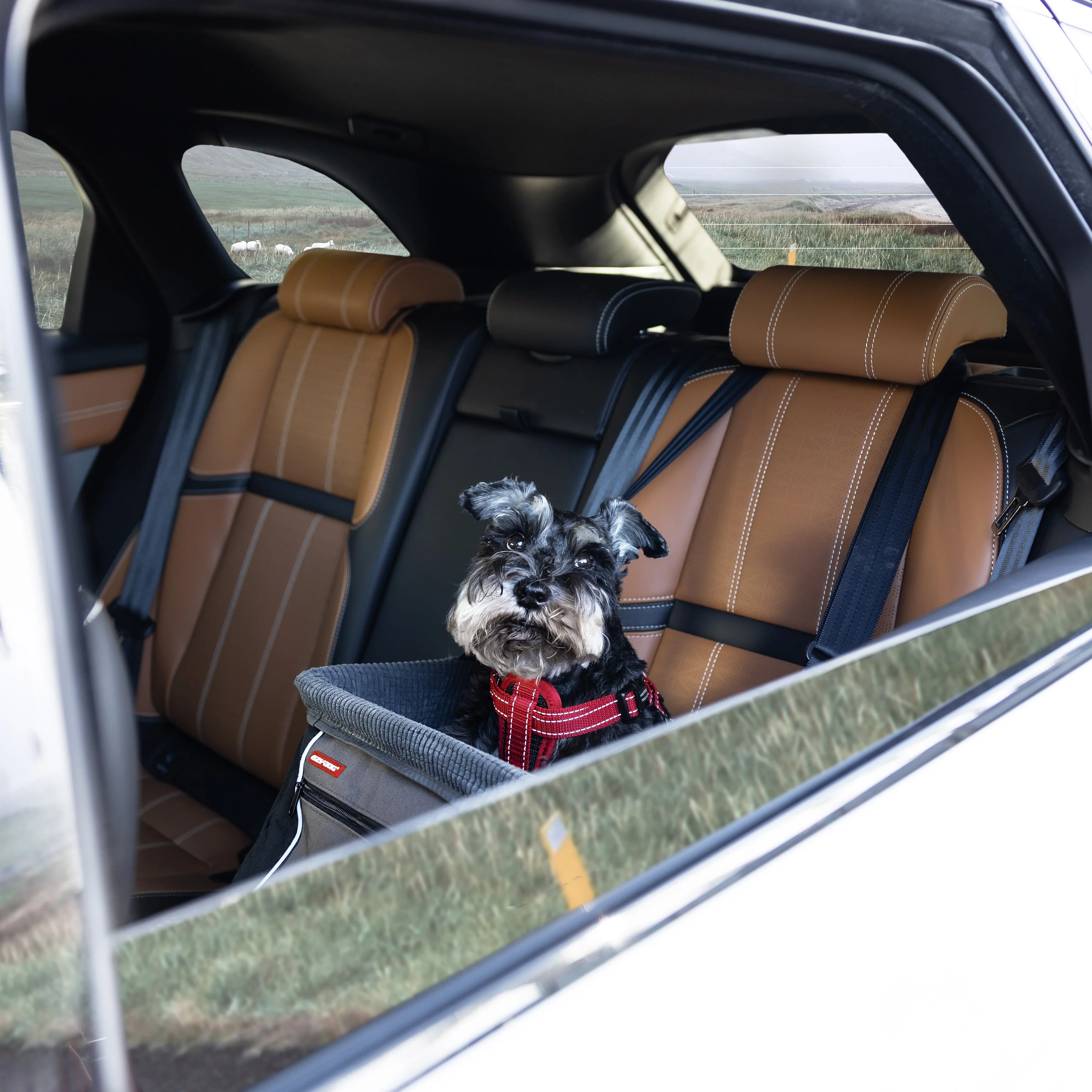 Drive Booster Seat - Image 5