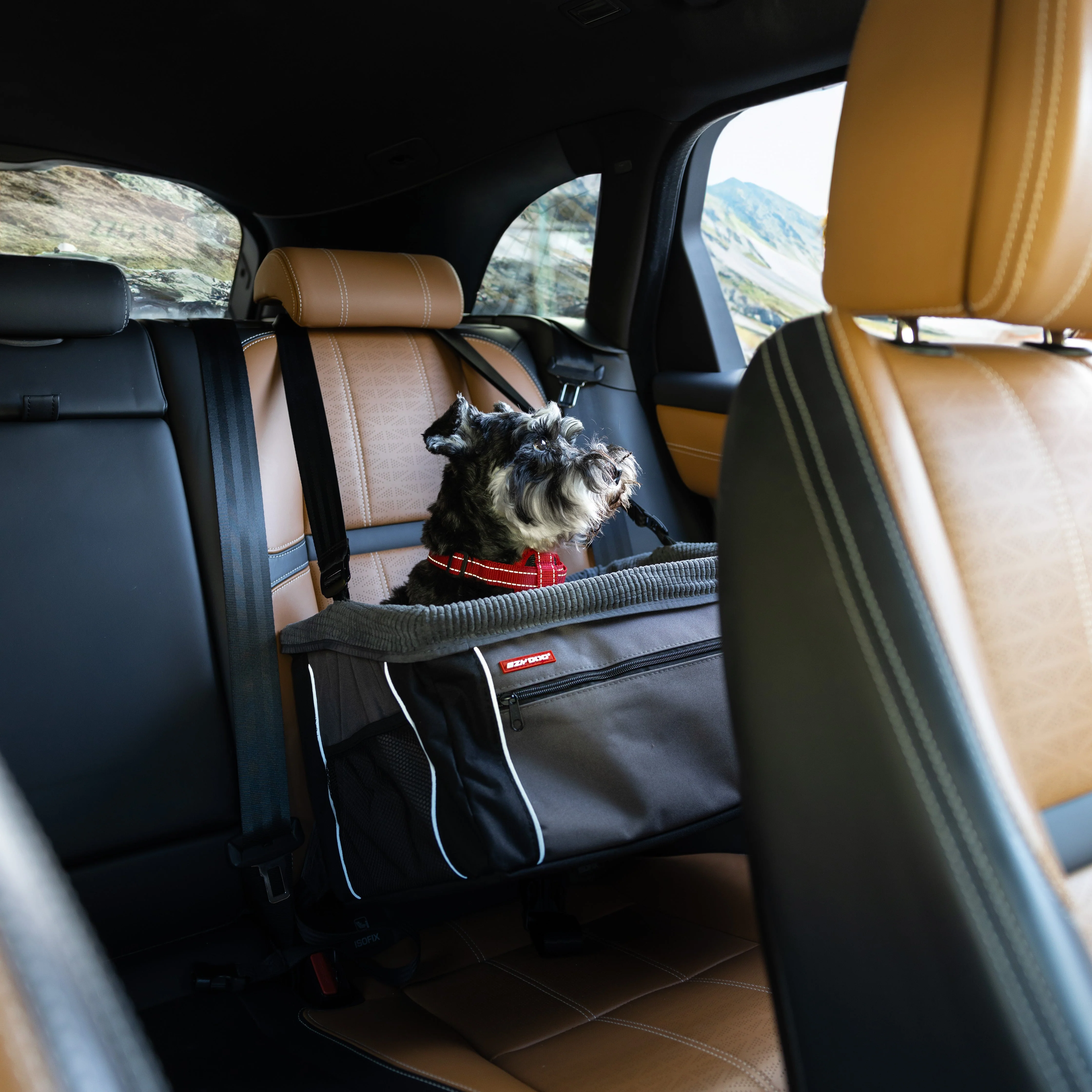 Drive Booster Seat - Image 6