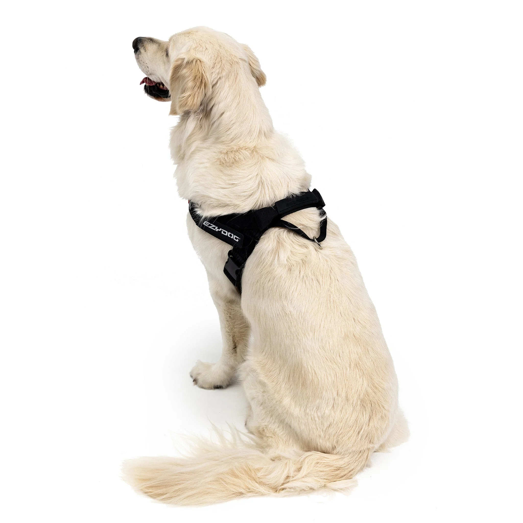 Express Harness - Image 23