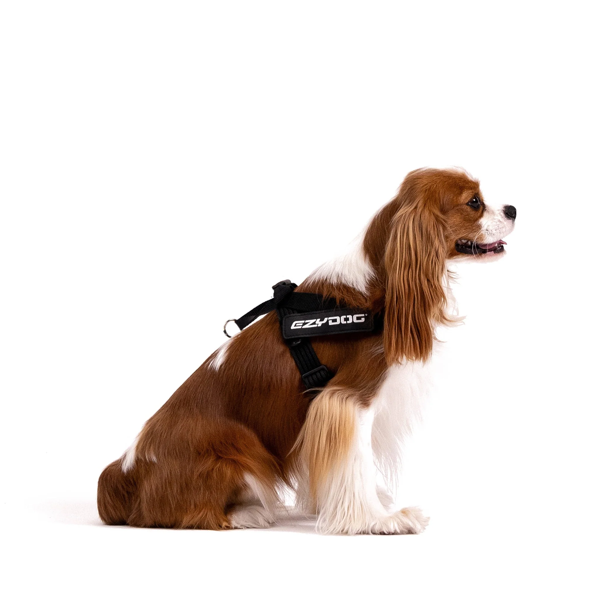 Express Harness - Image 24