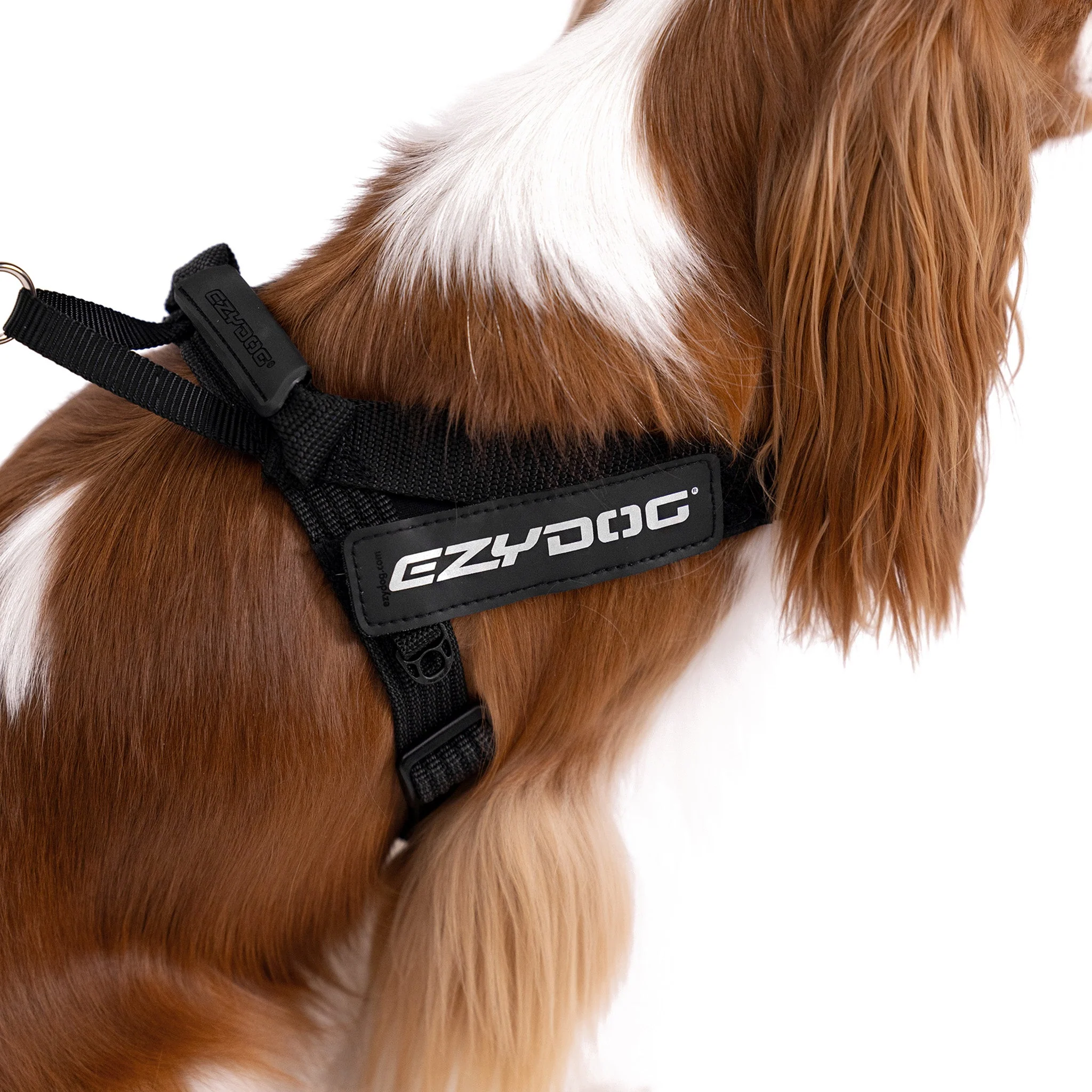 Express Harness - Image 25