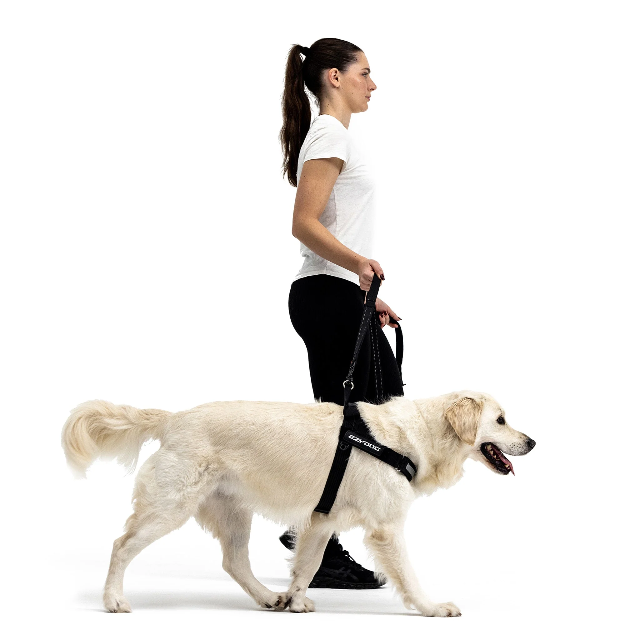 Express Harness - Image 26