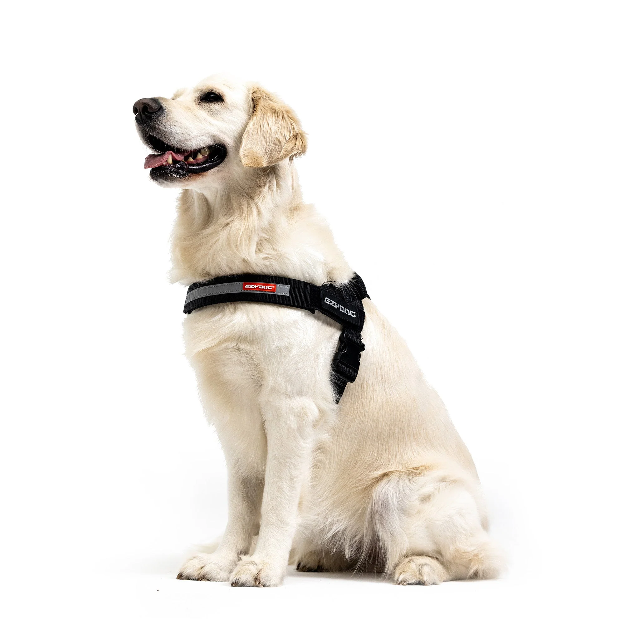 Express Harness - Image 29