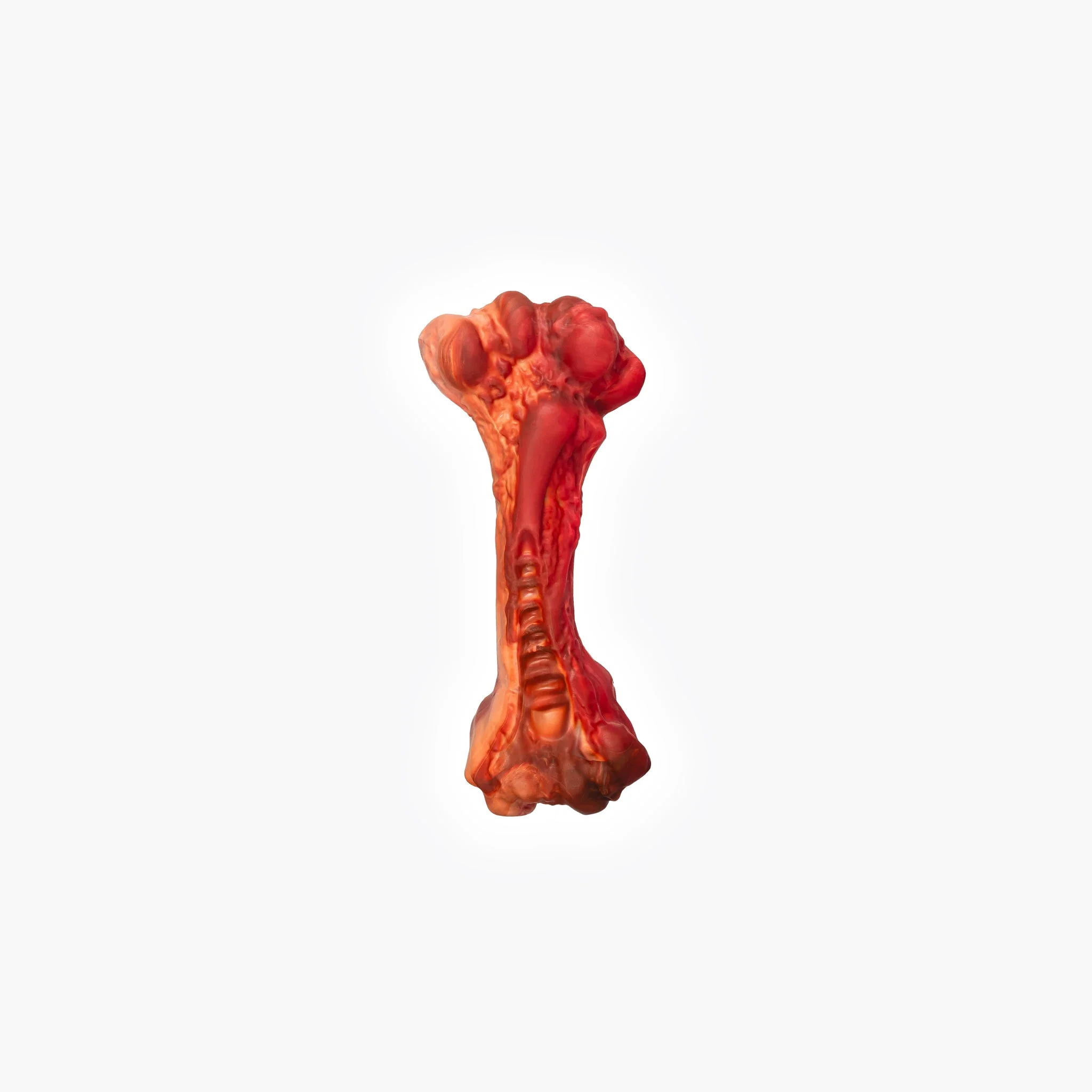 EzyBones Chew Toy - Image 11
