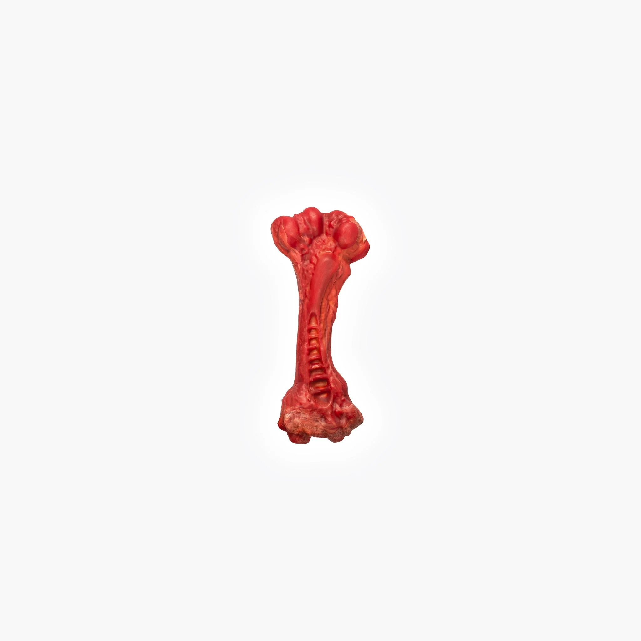 EzyBones Chew Toy - Image 13
