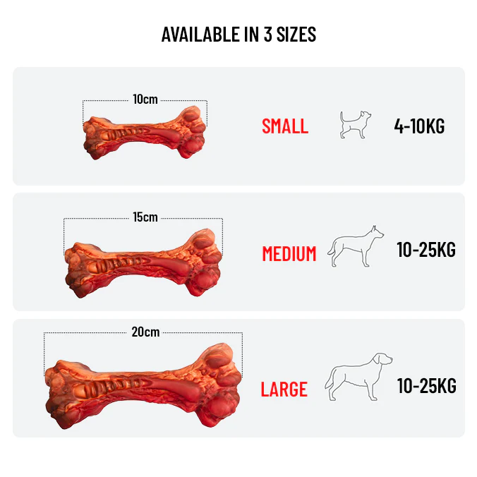 EzyBones Chew Toy - Image 4