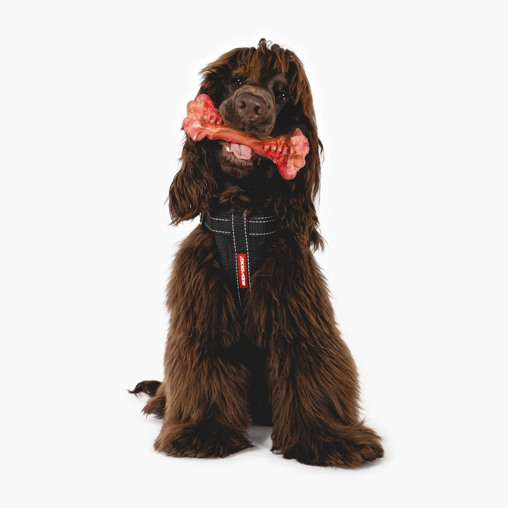 EzyBones Chew Toy - Image 5