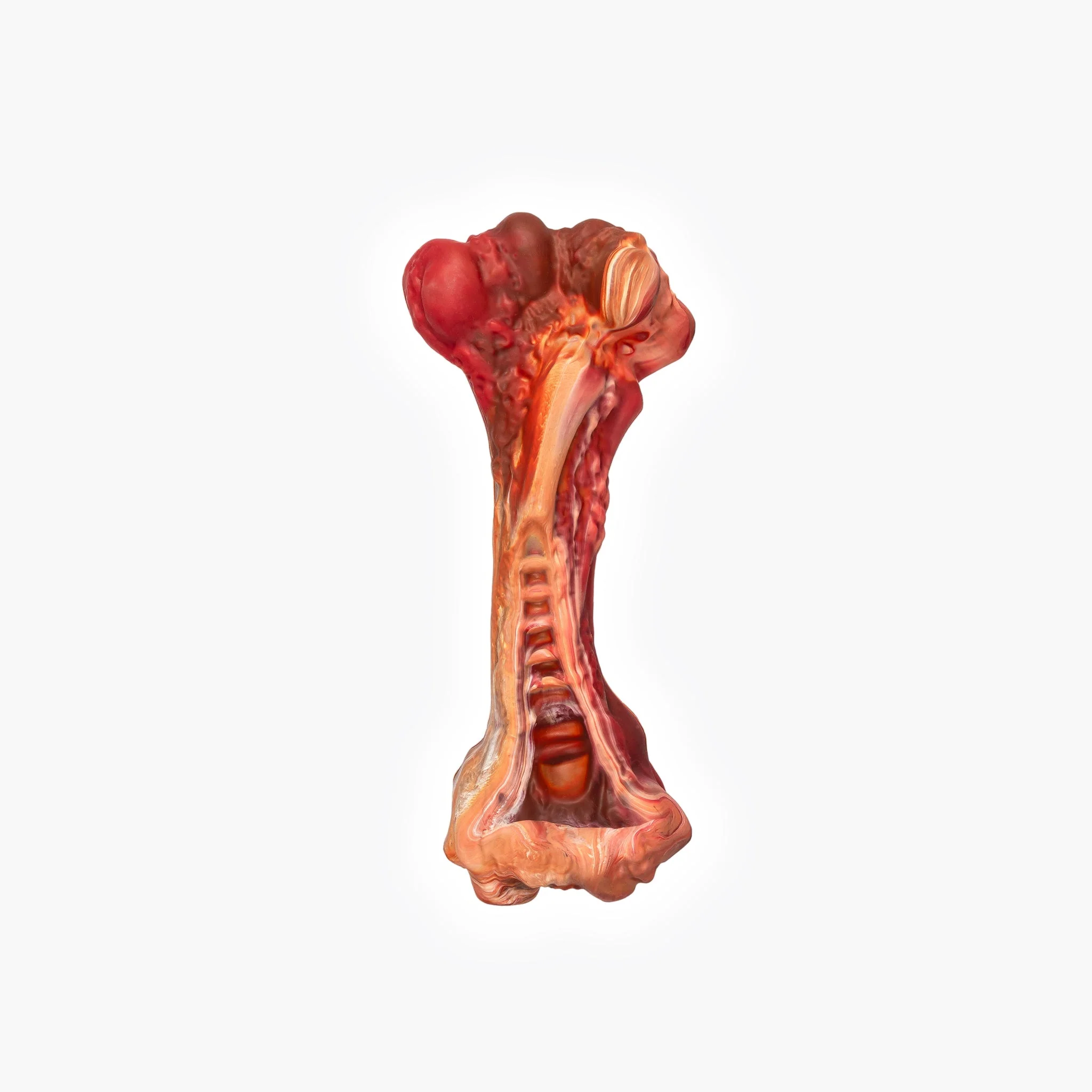 EzyBones Chew Toy - Image 9