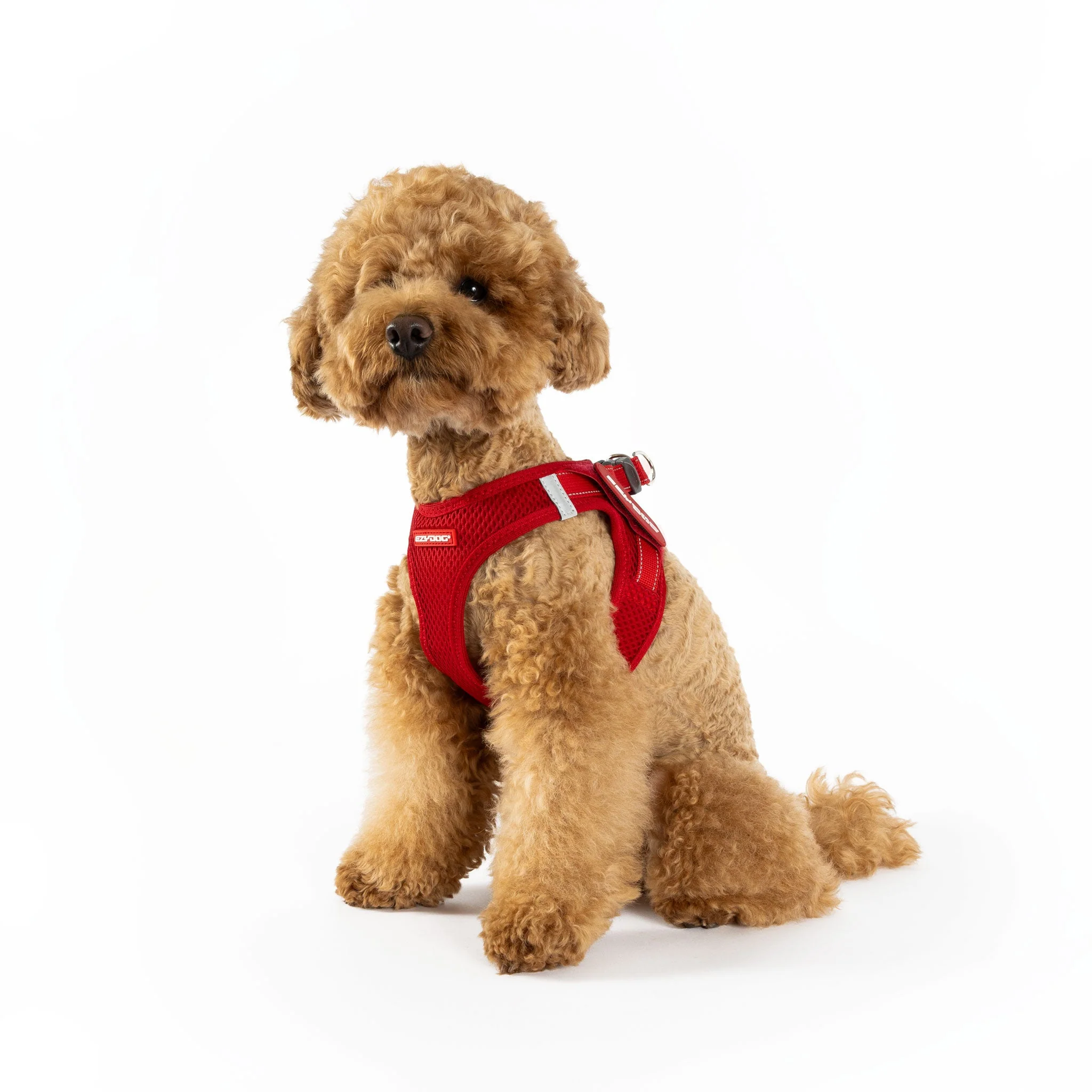 FORMFIT® Mesh Harness - Image 29
