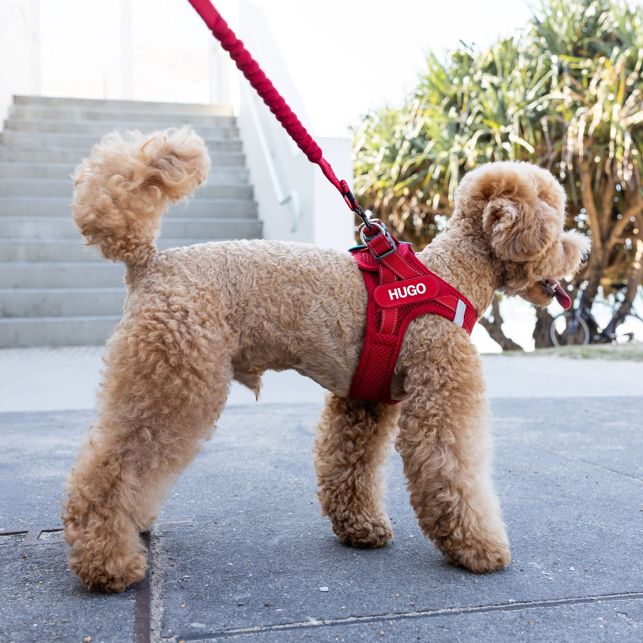 FORMFIT® Mesh Harness - Image 37