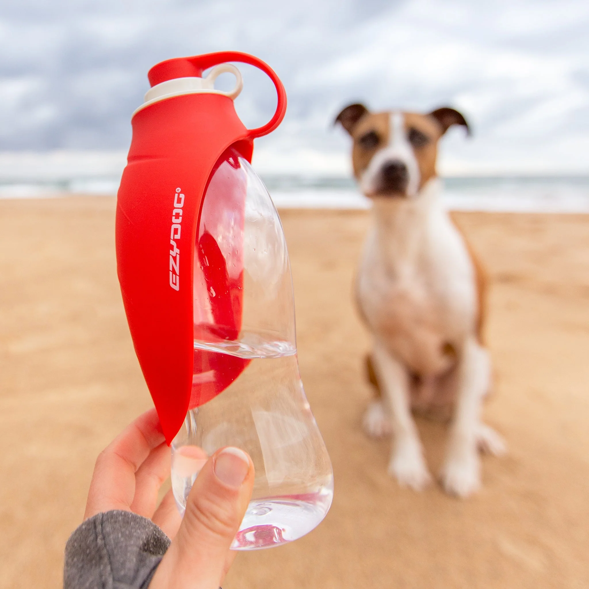 Leaf Dog Water Bottle - Image 5