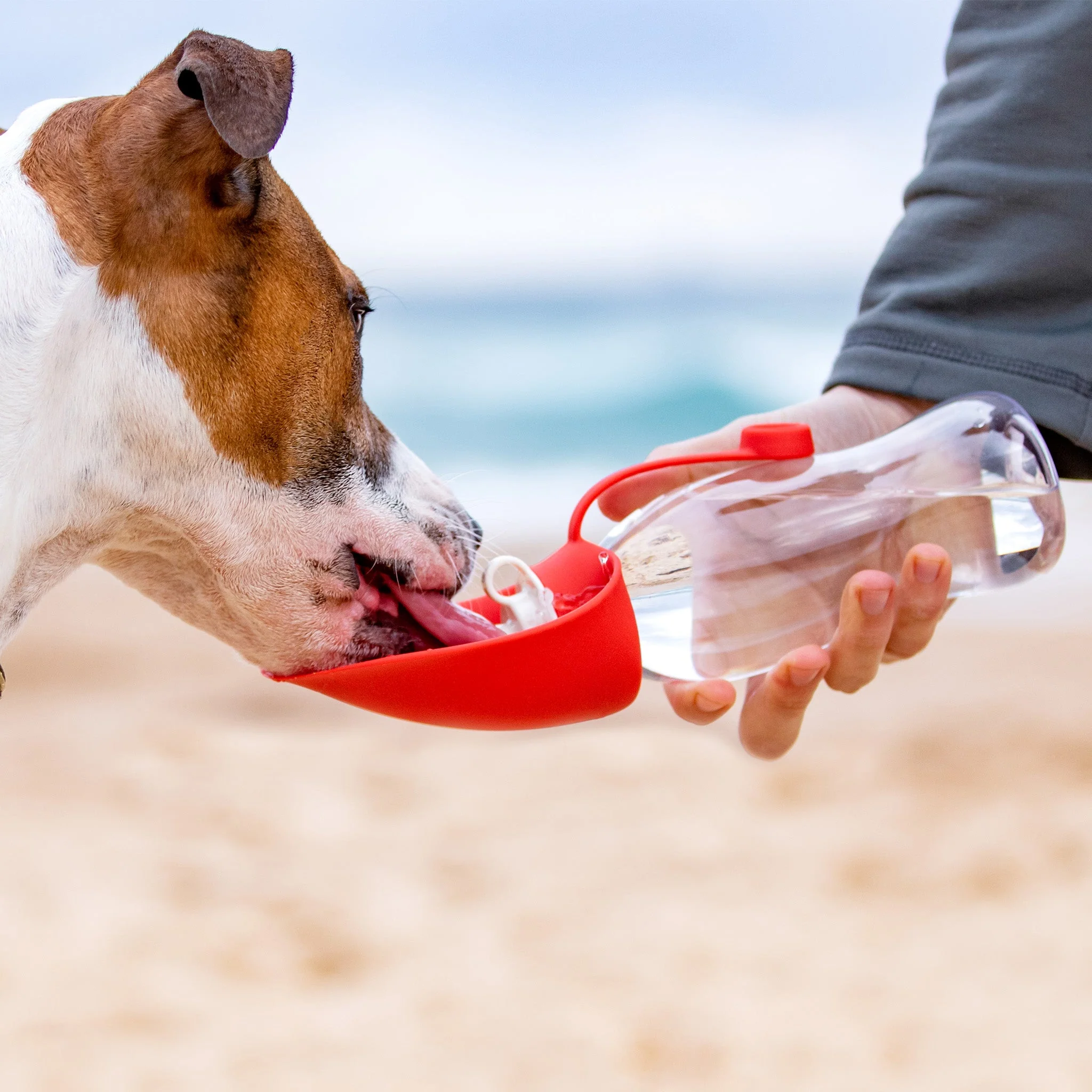 Leaf Dog Water Bottle - Image 6