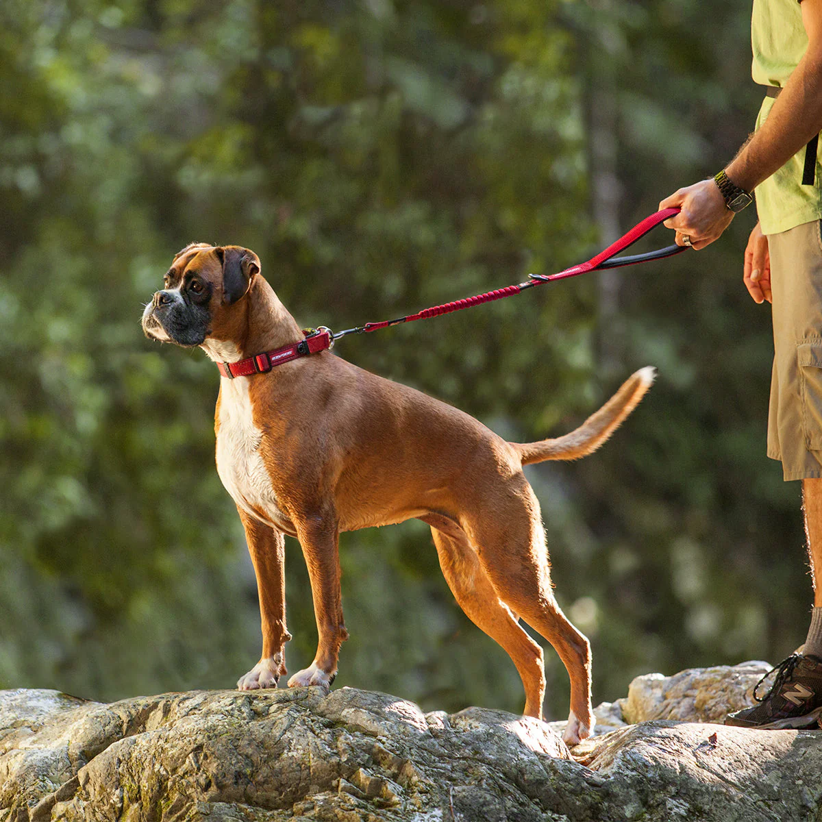 Zero Shock Leash - Camo - Image 9