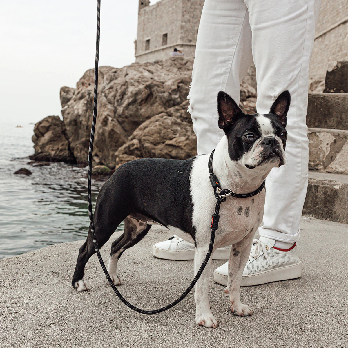 Luca Leash - Image 10