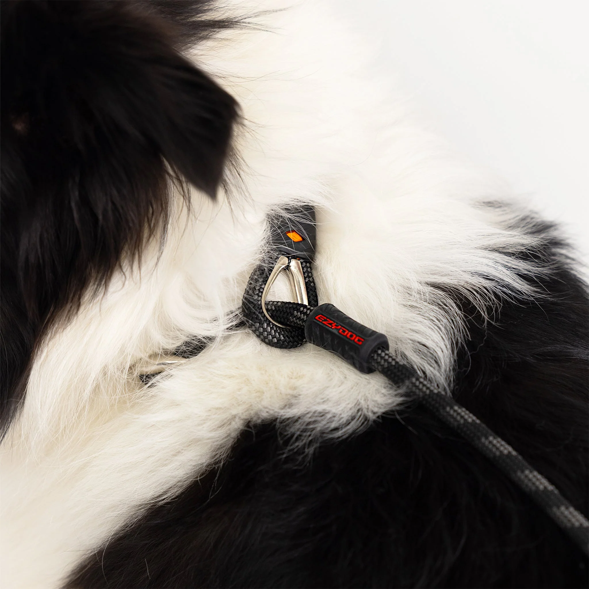 Luca Leash - Image 8