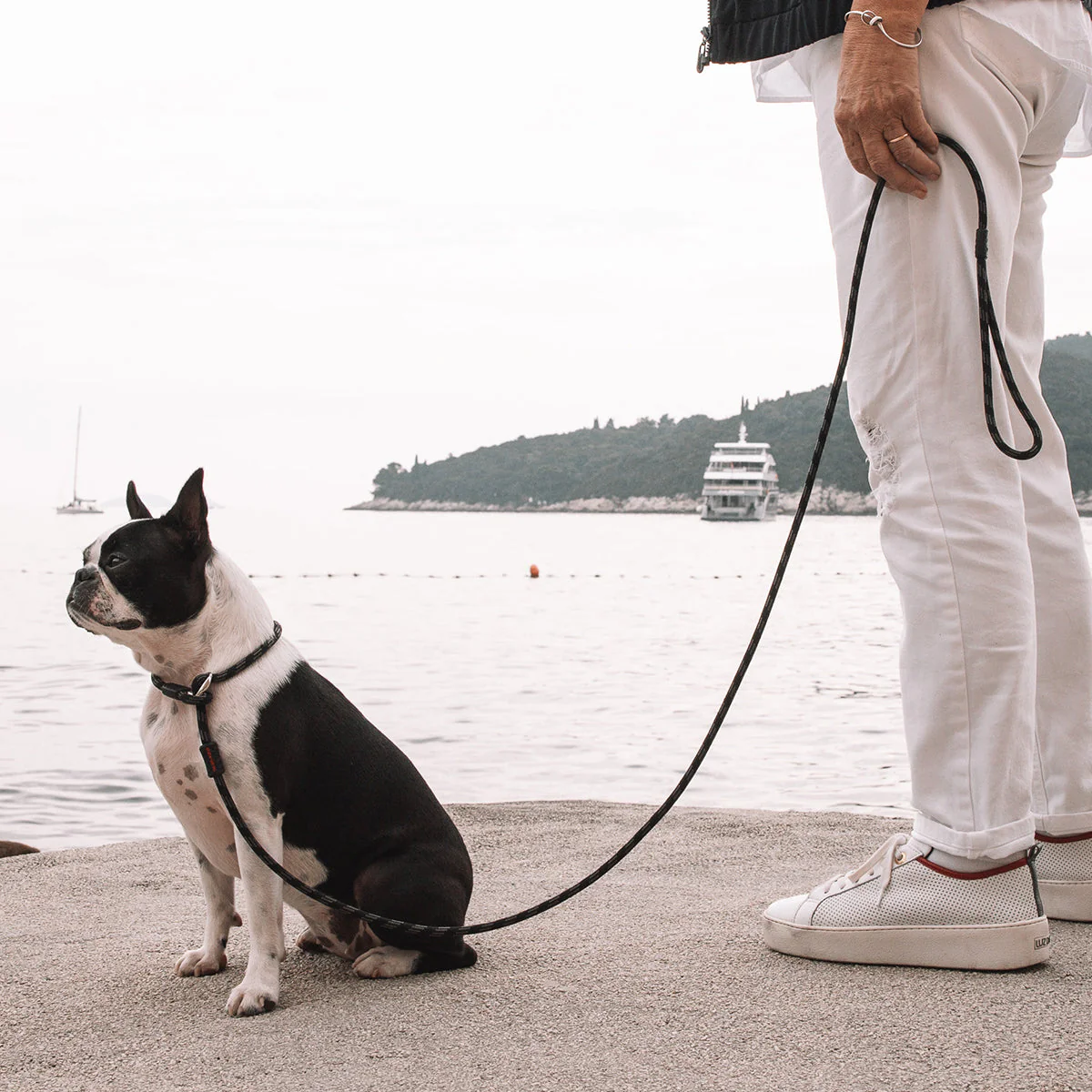 Luca Leash - Image 9