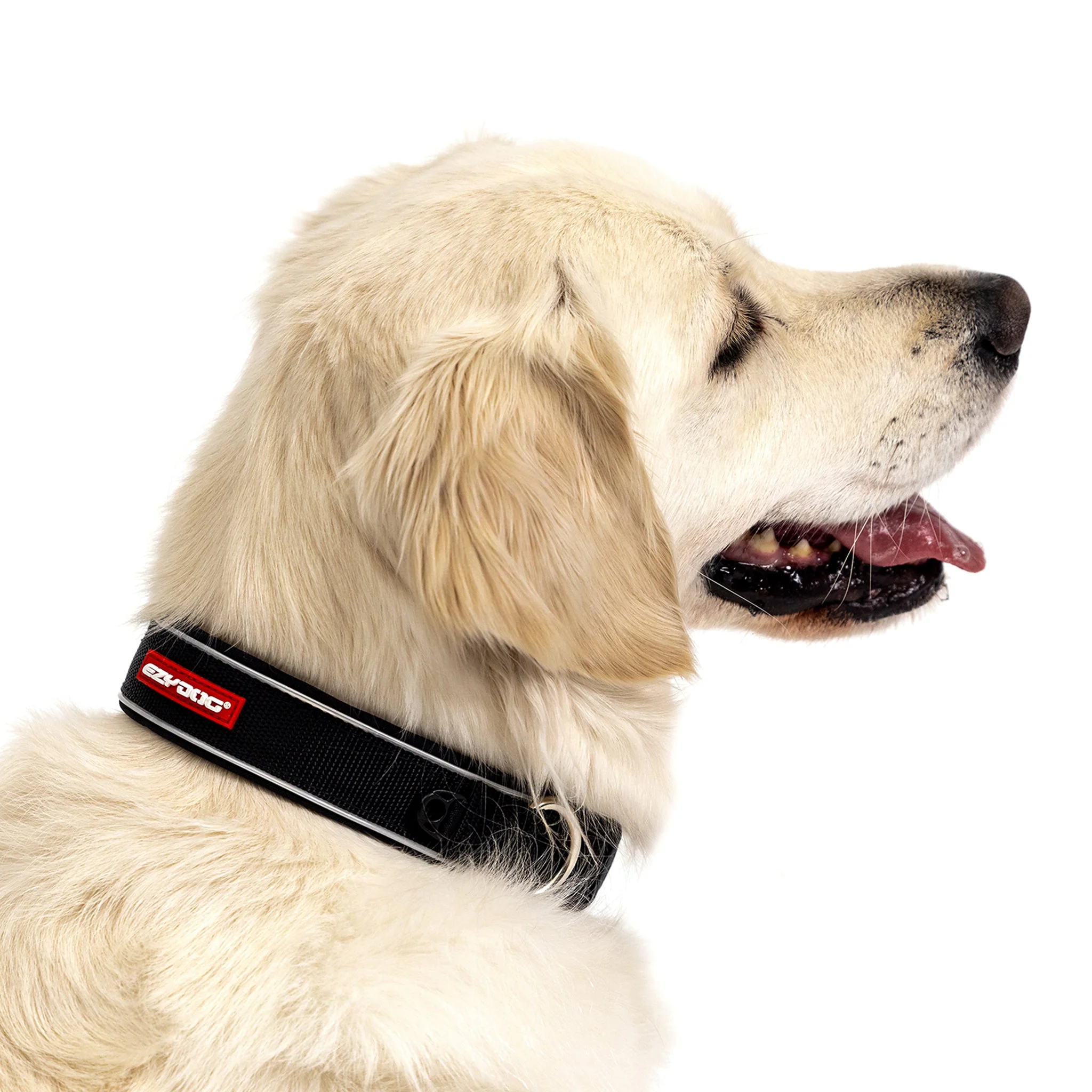 Neo Classic Collar - Image 20
