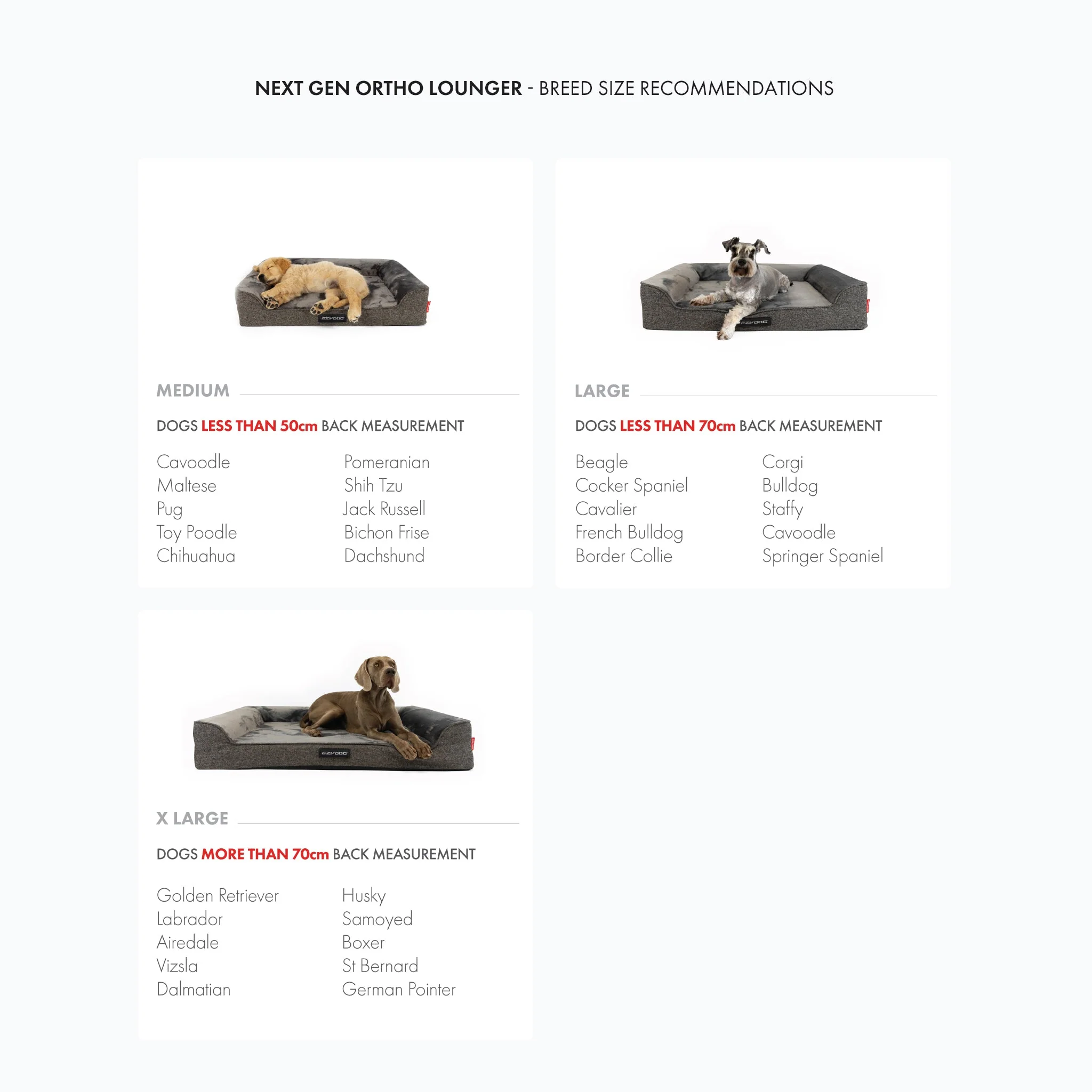 Next Gen Ortho Lounger Bed - Image 9