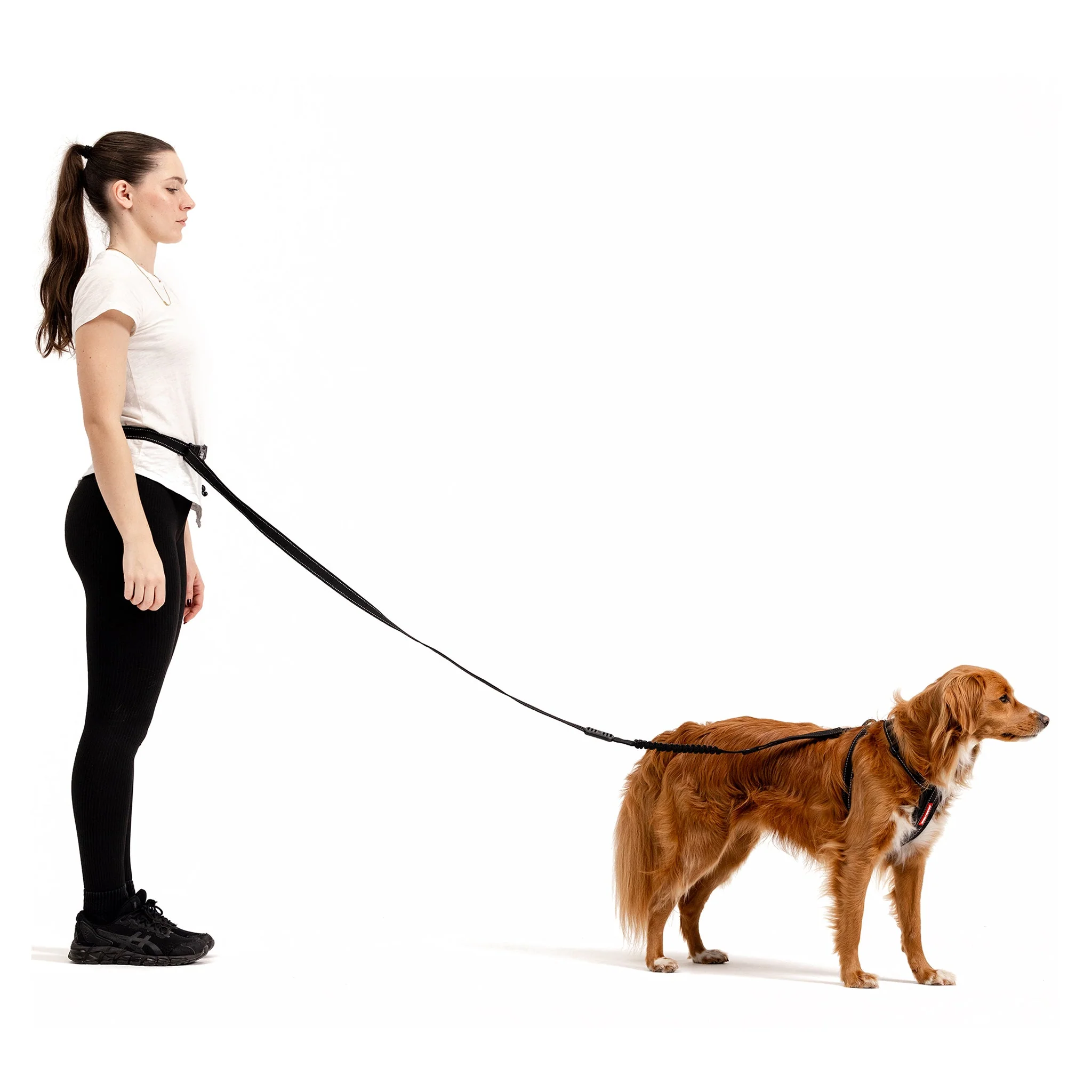 Road Runner Leash - Image 7