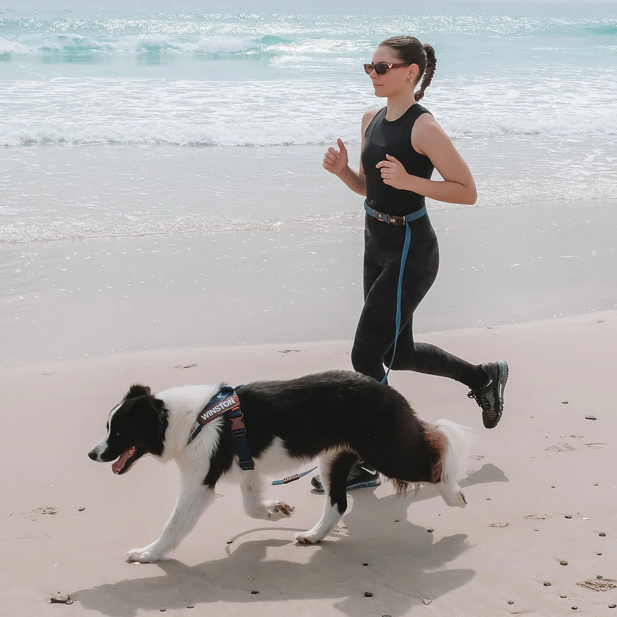 Road Runner Leash - Image 9